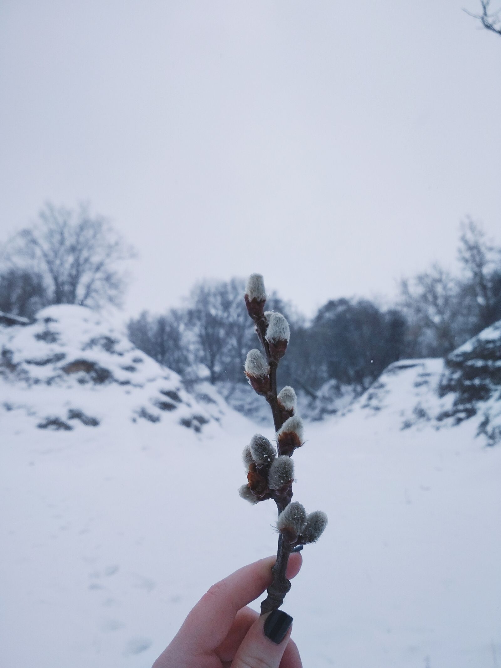 Xiaomi Redmi 4X sample photo. Snow, winter, outdoors photography