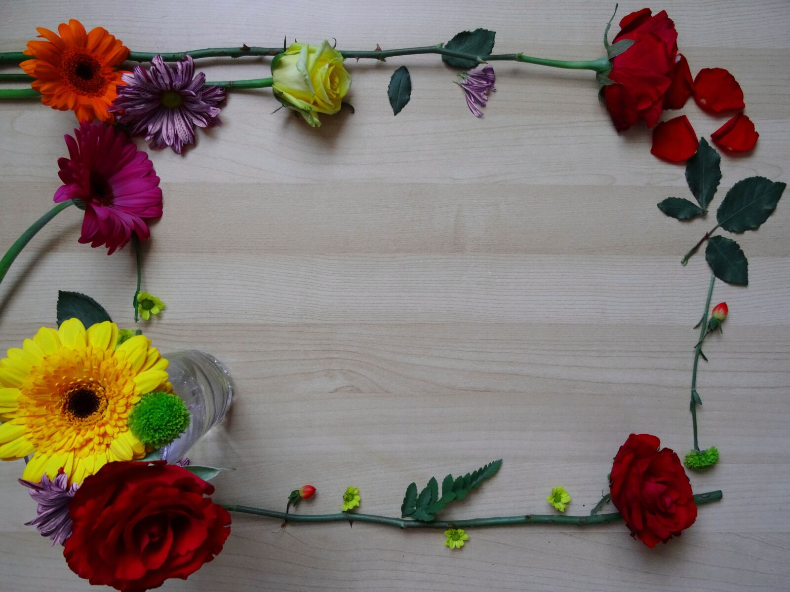 Sony DSC-HX50 sample photo. Frame, border, flower photography