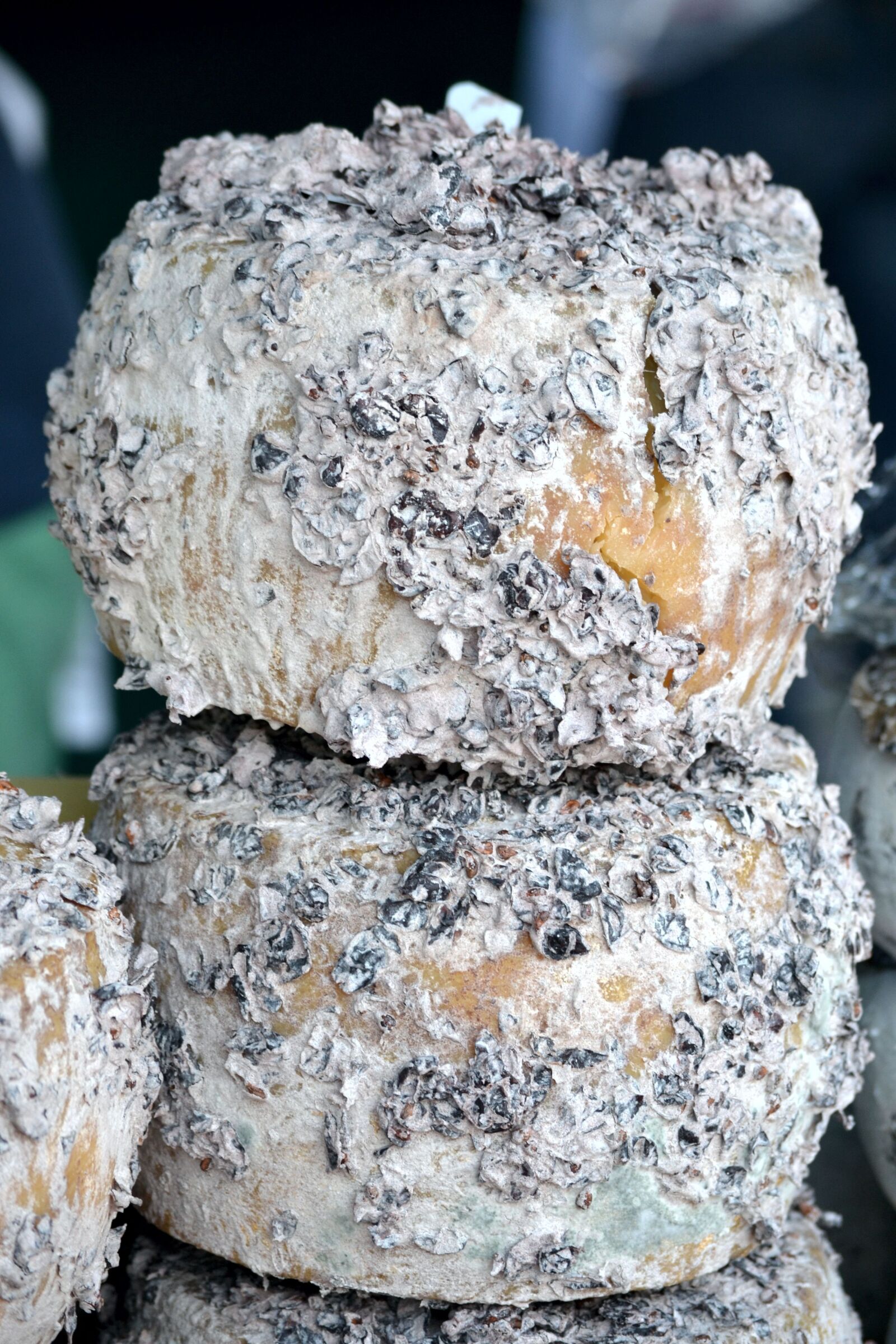 Nikon D3100 sample photo. Cheese, kitchen, seasoning photography