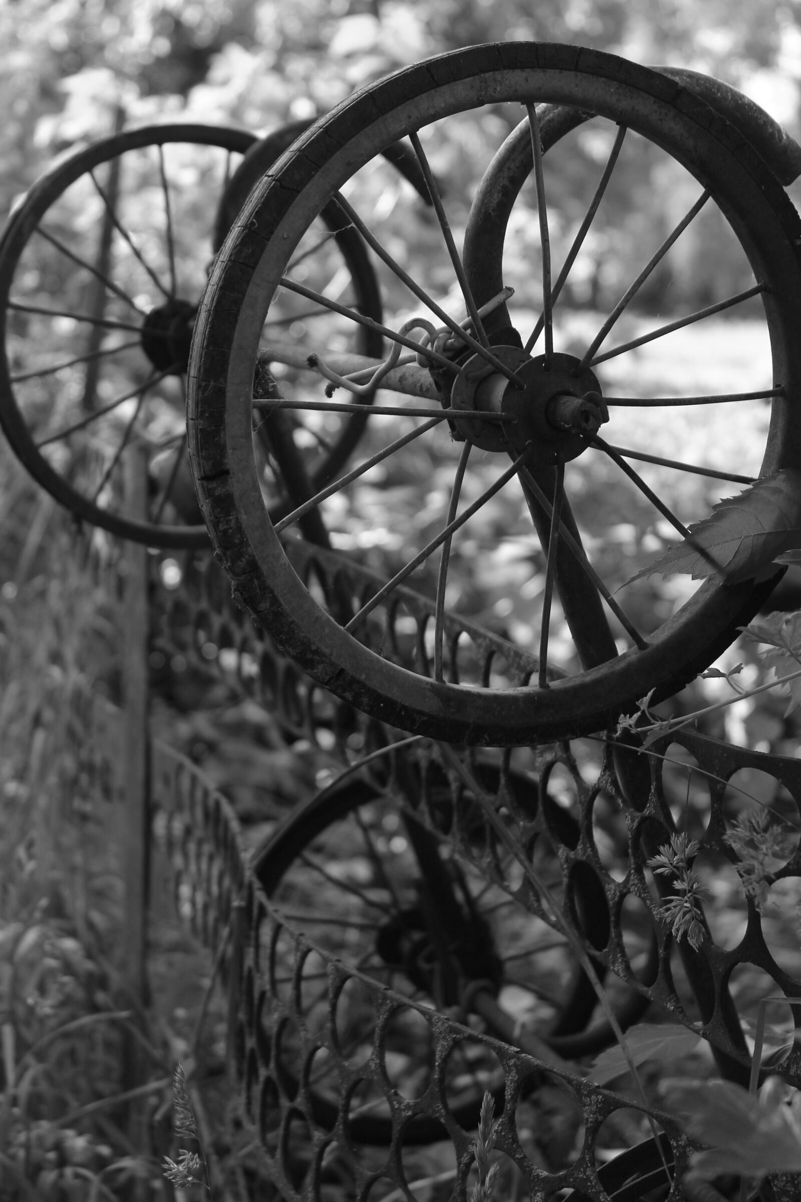 Canon EOS 1100D (EOS Rebel T3 / EOS Kiss X50) sample photo. Retro, wheel, old photography