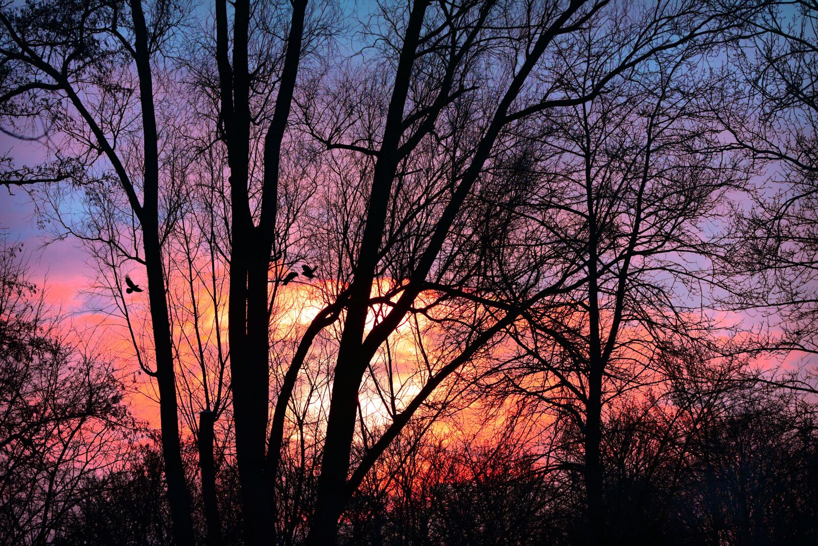 Nikon D750 sample photo. Sunset, sky, clouds photography