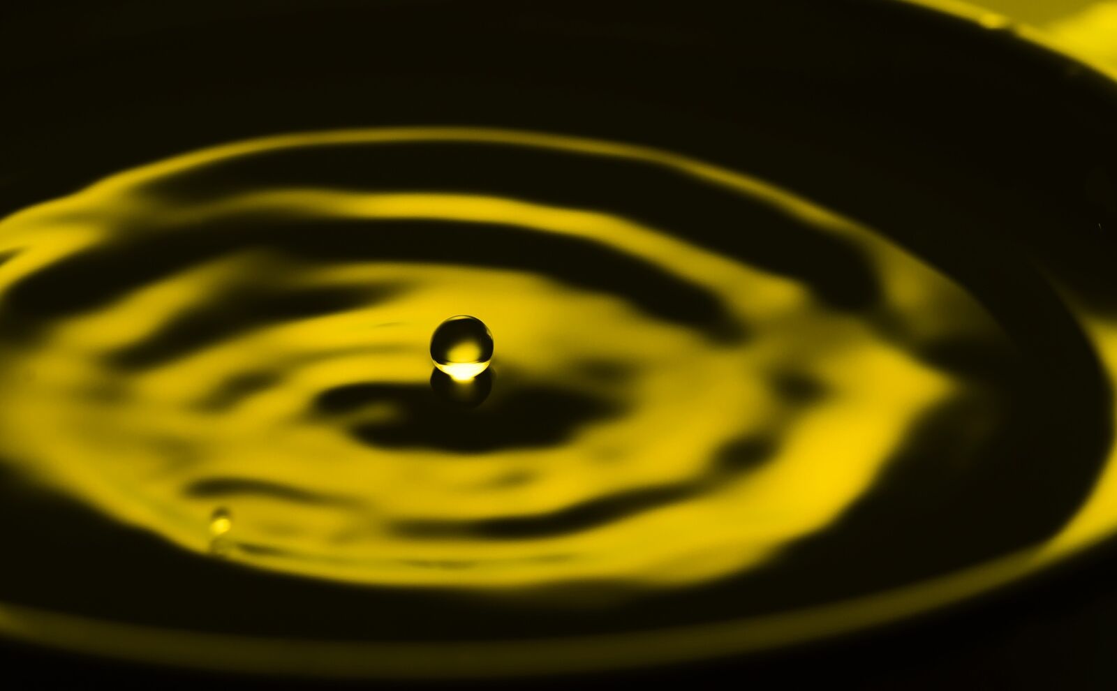 Nikon D7000 sample photo. Water droplets, water, circle photography