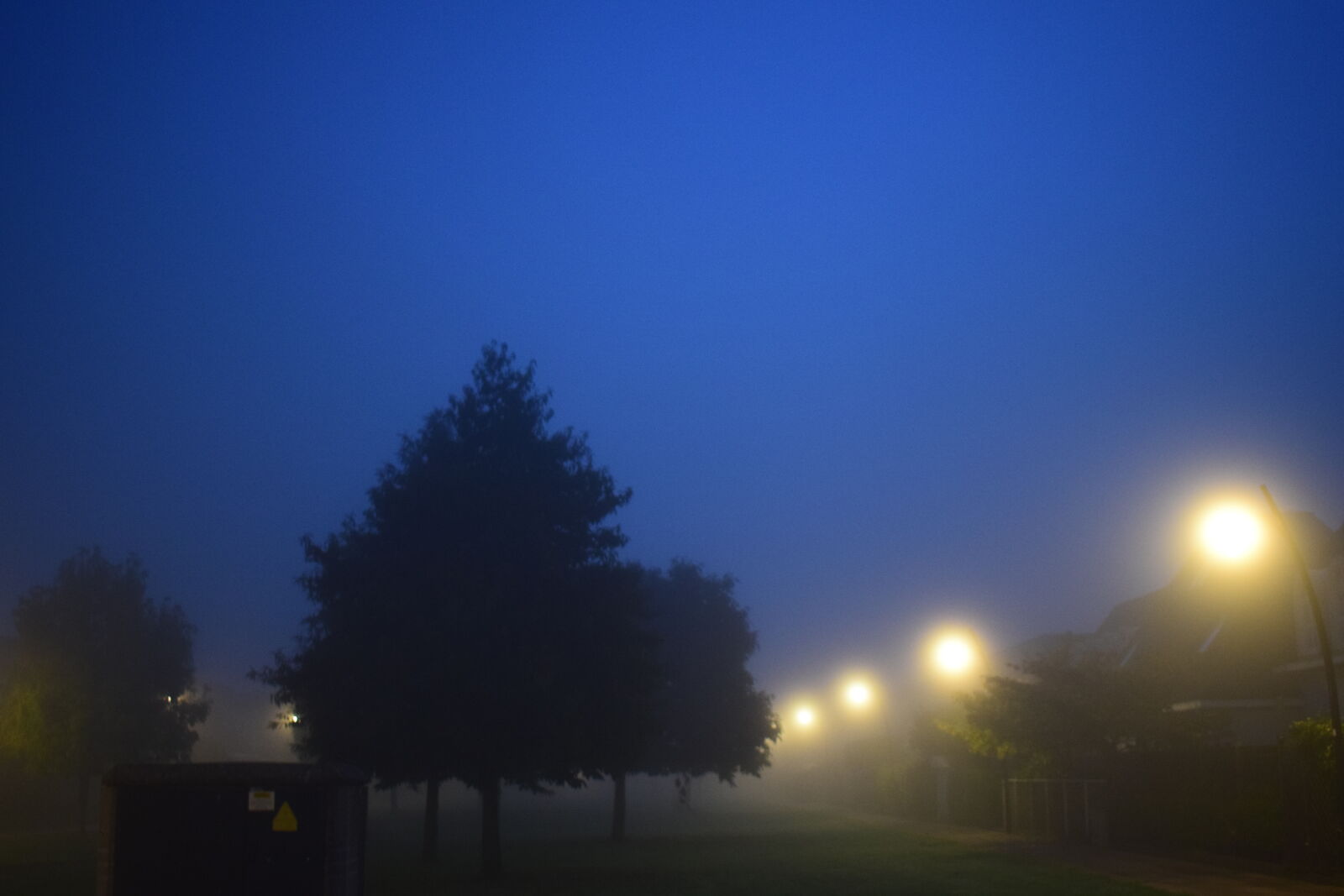 Nikon D5300 sample photo. Morning, mist photography