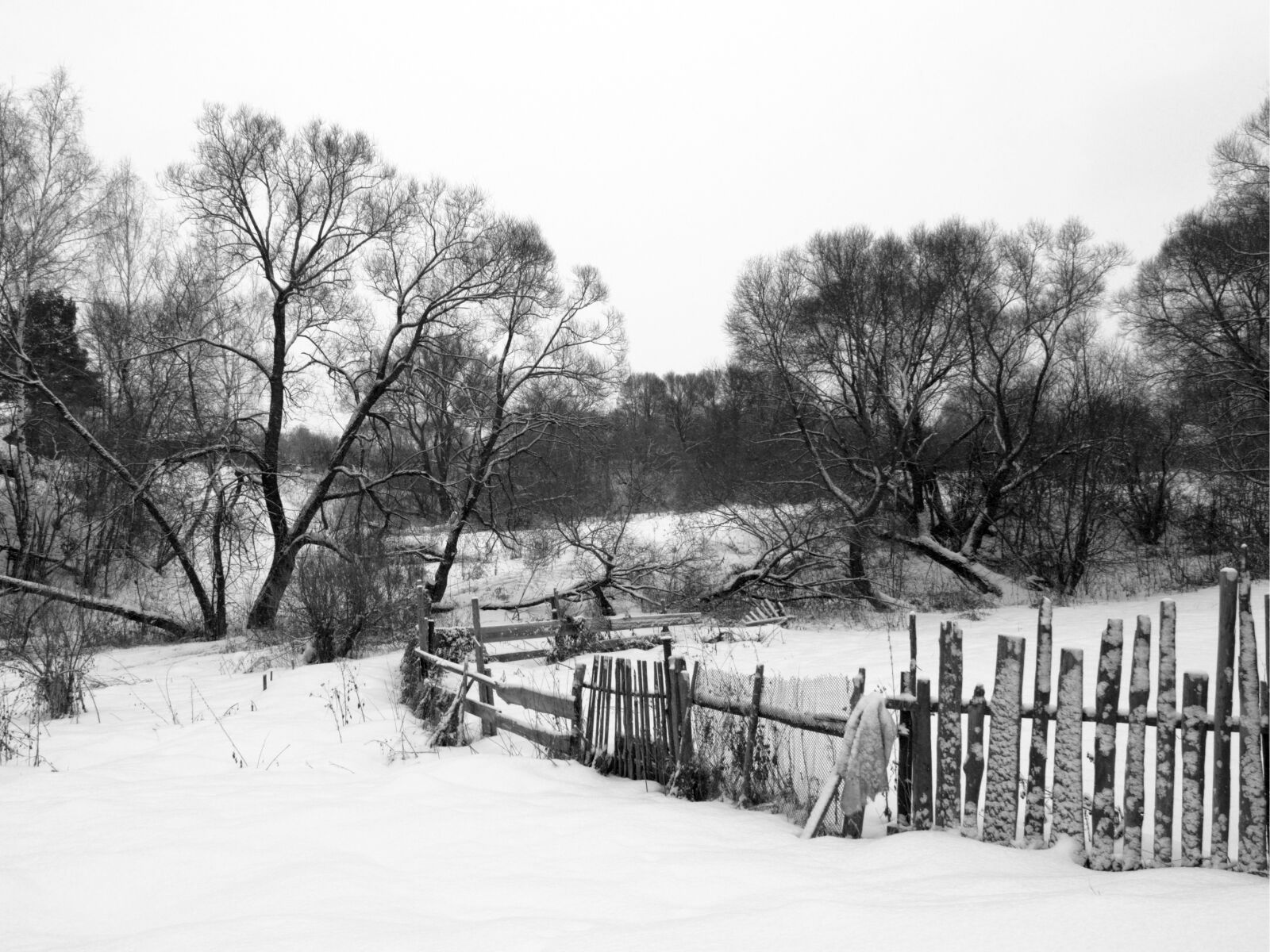 Nikon D3100 sample photo. Fence, yard, village photography