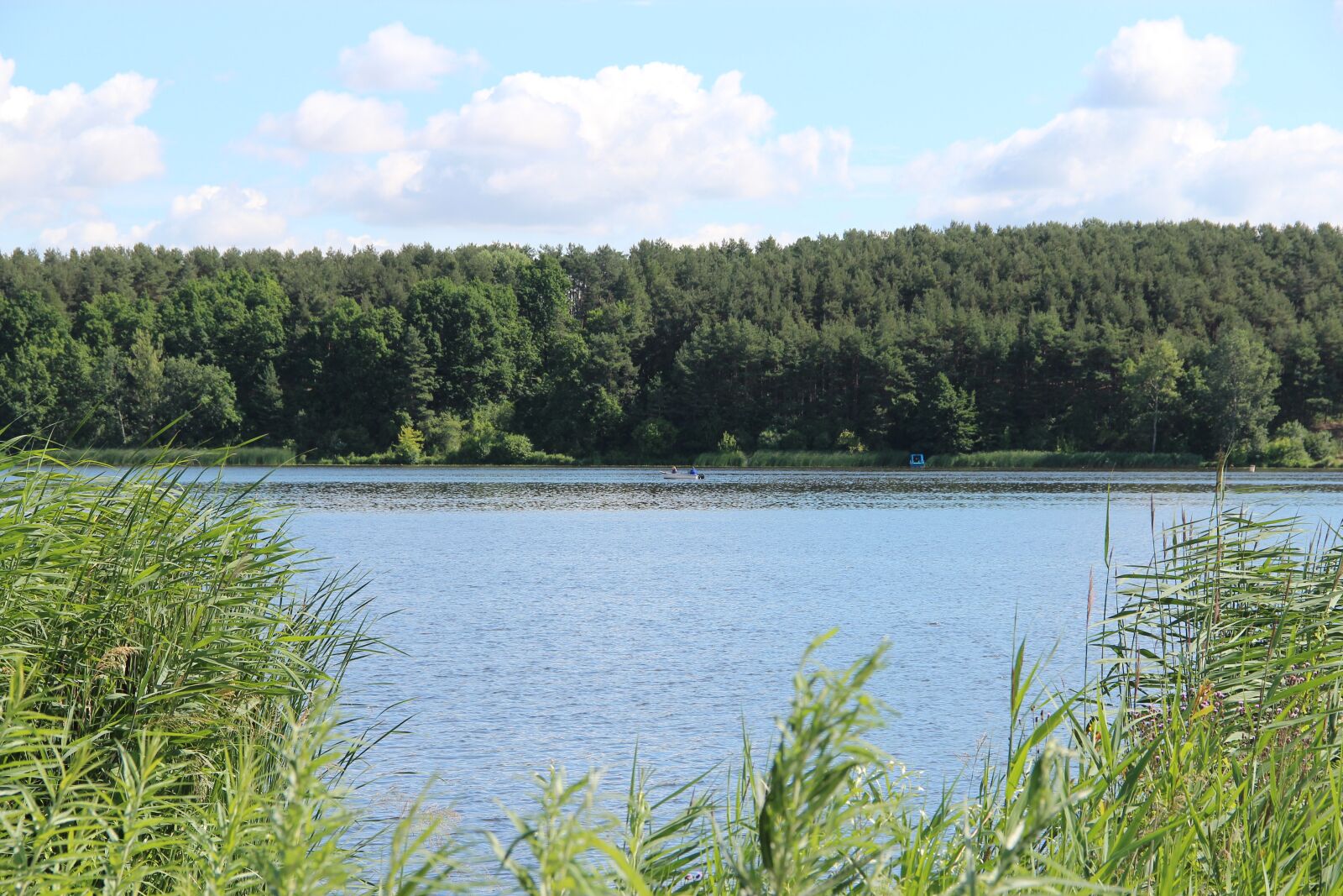 Canon EF-S 18-135mm F3.5-5.6 IS sample photo. Zegrzyński, water, landscape photography
