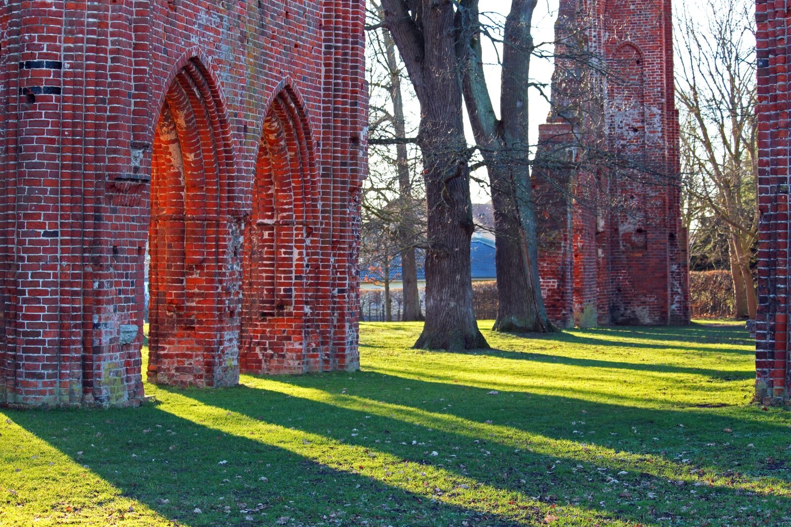 Canon EF-S 55-250mm F4-5.6 IS STM sample photo. Ruins of eldena abbey photography