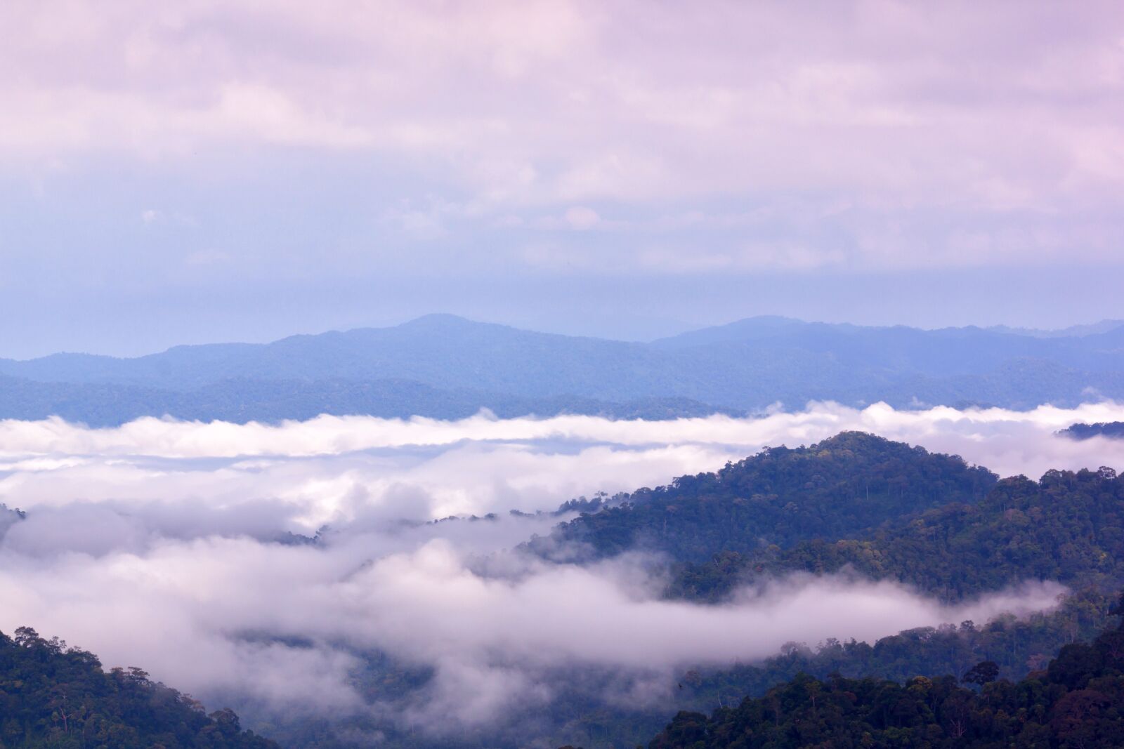 Canon EOS 500D (EOS Rebel T1i / EOS Kiss X3) sample photo. Fog, mountains, sea fog photography