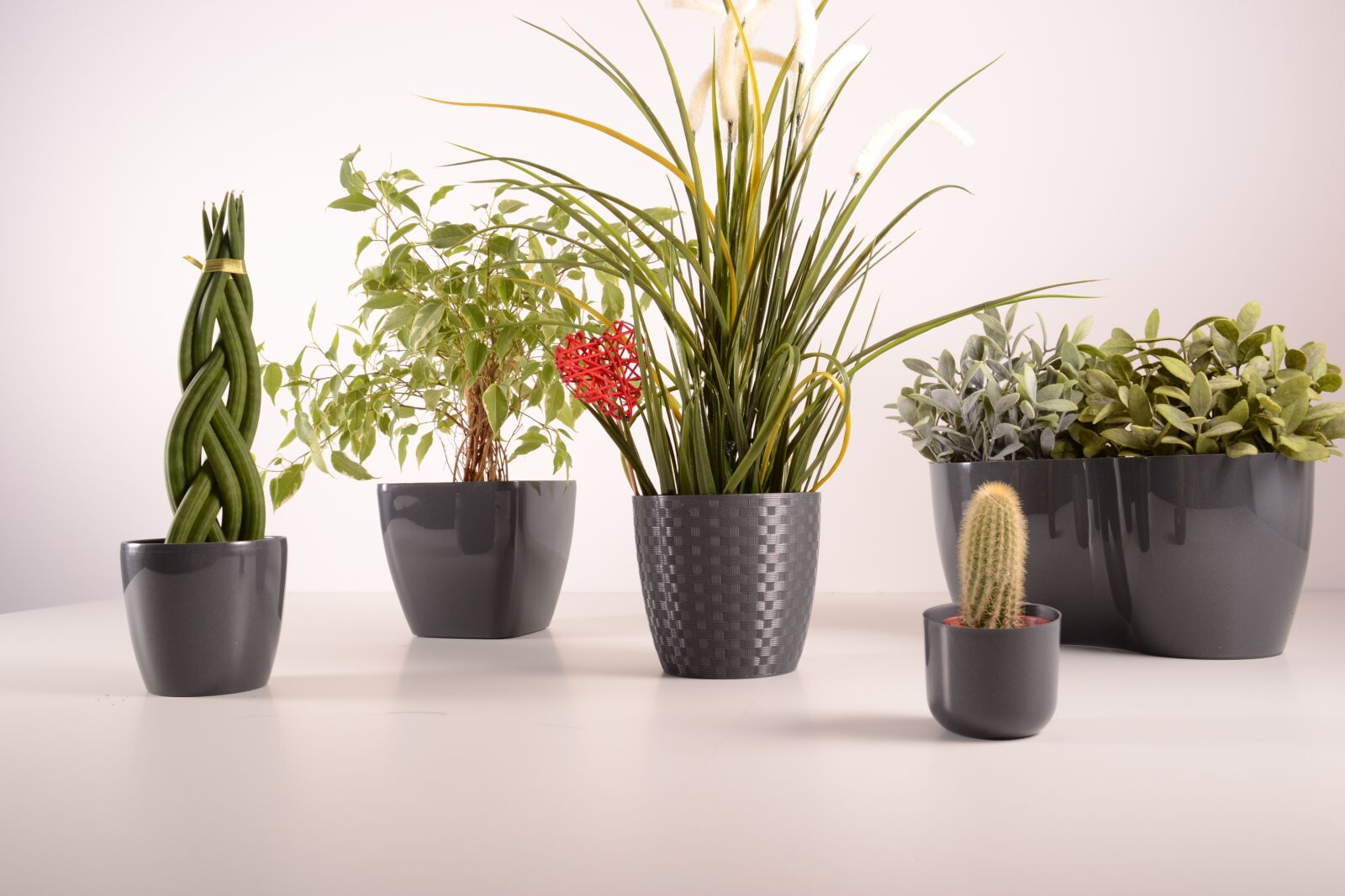 Nikon D3100 sample photo. Flowers, flowerpots, green photography