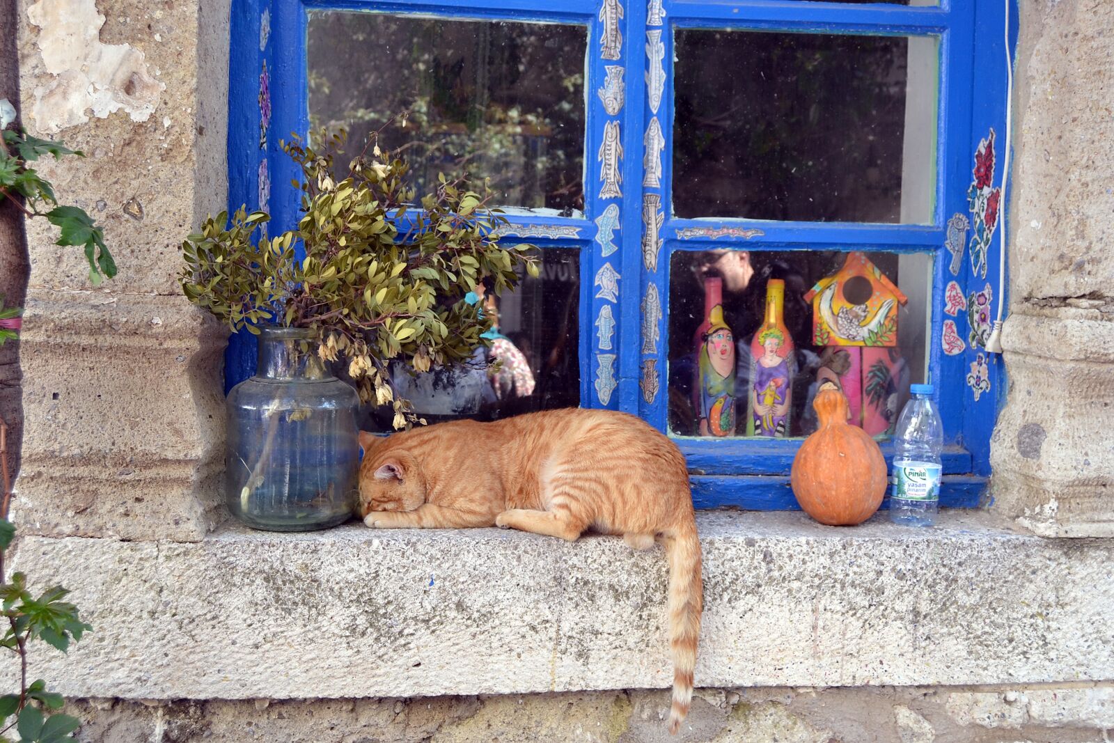 Nikon D3100 sample photo. Home, window, village photography