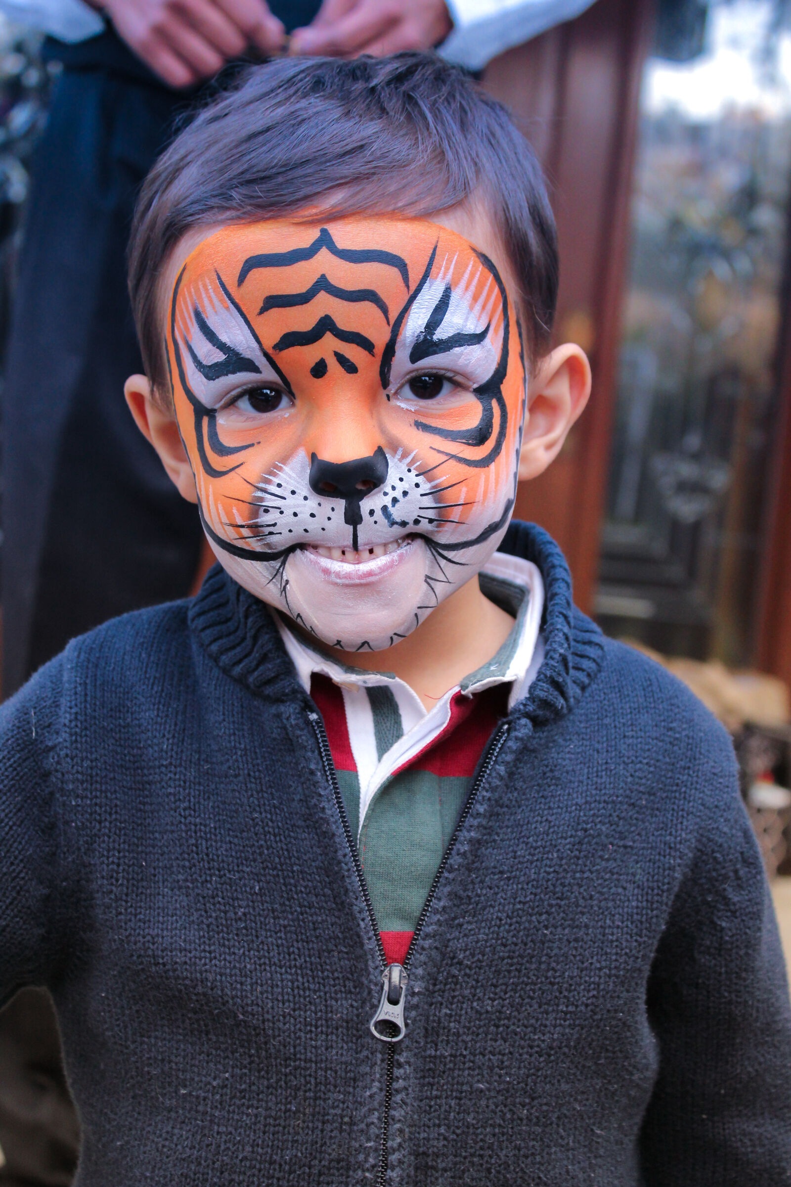 Canon EF-S 18-55mm F3.5-5.6 III sample photo. Boy, face, paint, tiger photography