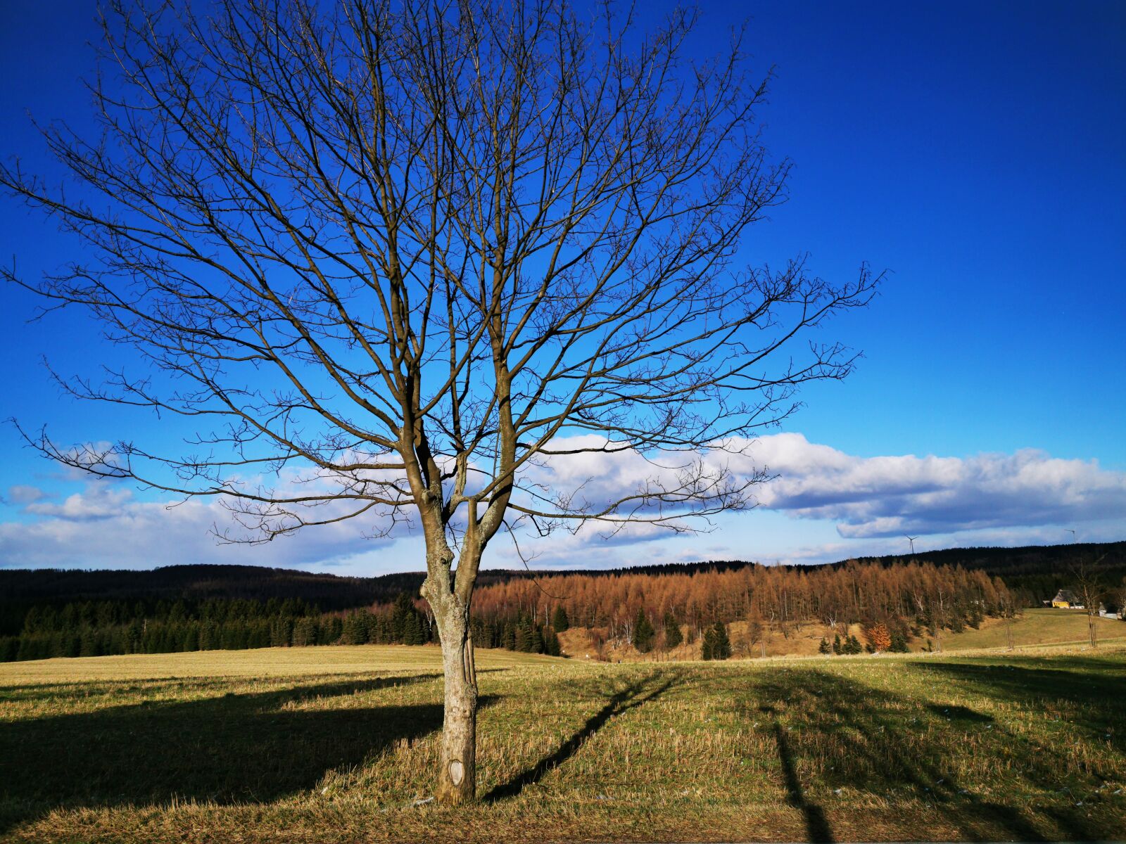 HUAWEI P30 Pro sample photo. Ore mountains, deutscheinsiedel, sunset photography