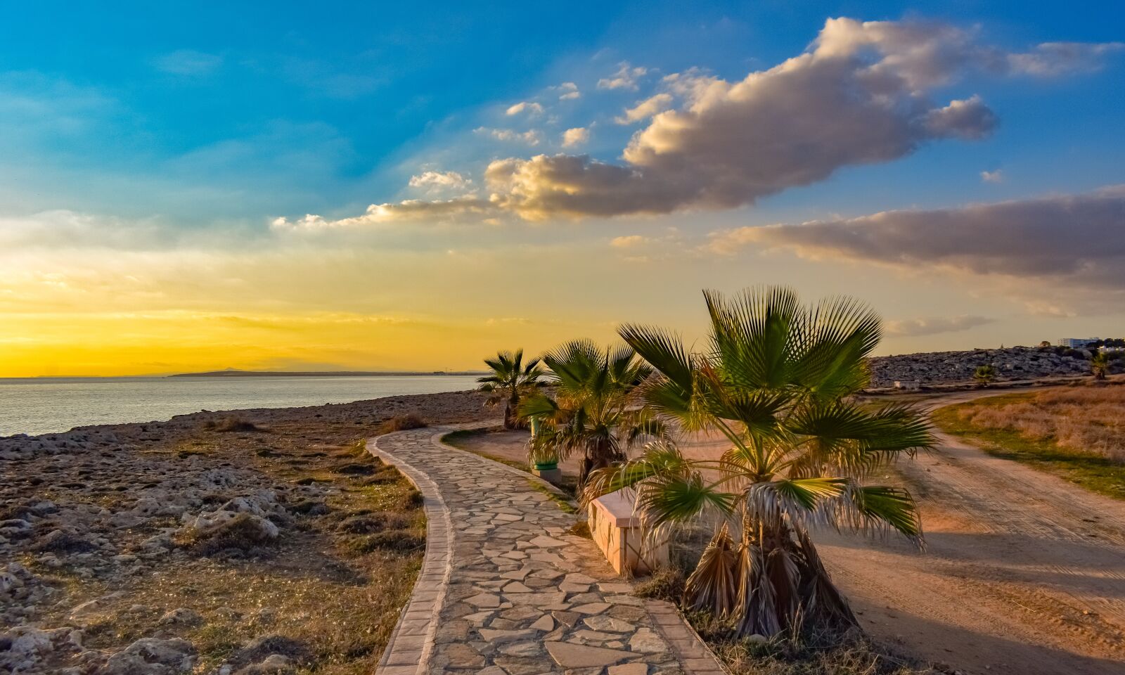 Nikon D3300 sample photo. Path, palm trees, sky photography