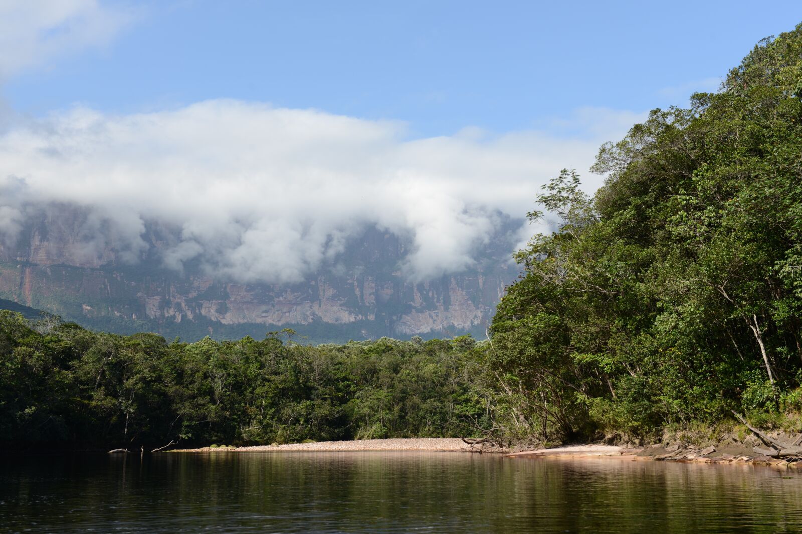 Nikon D800 sample photo. Nature, mountains, venezuela photography