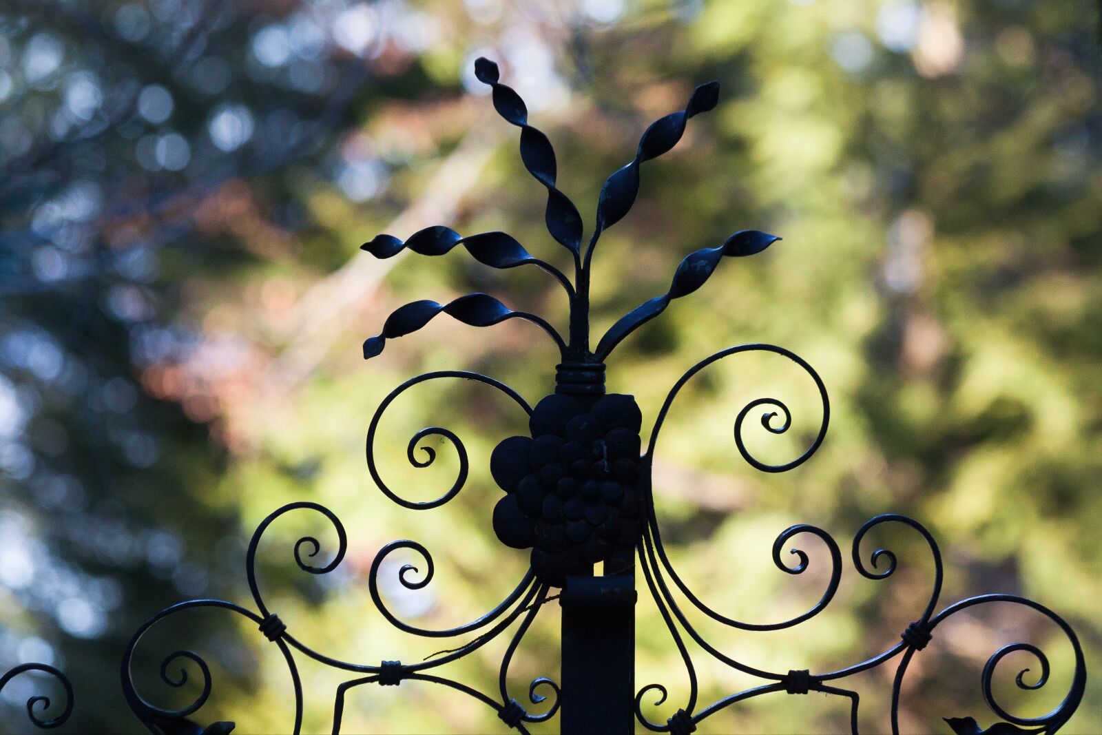 Canon EOS 50D sample photo. Goal, wrought iron, metal photography