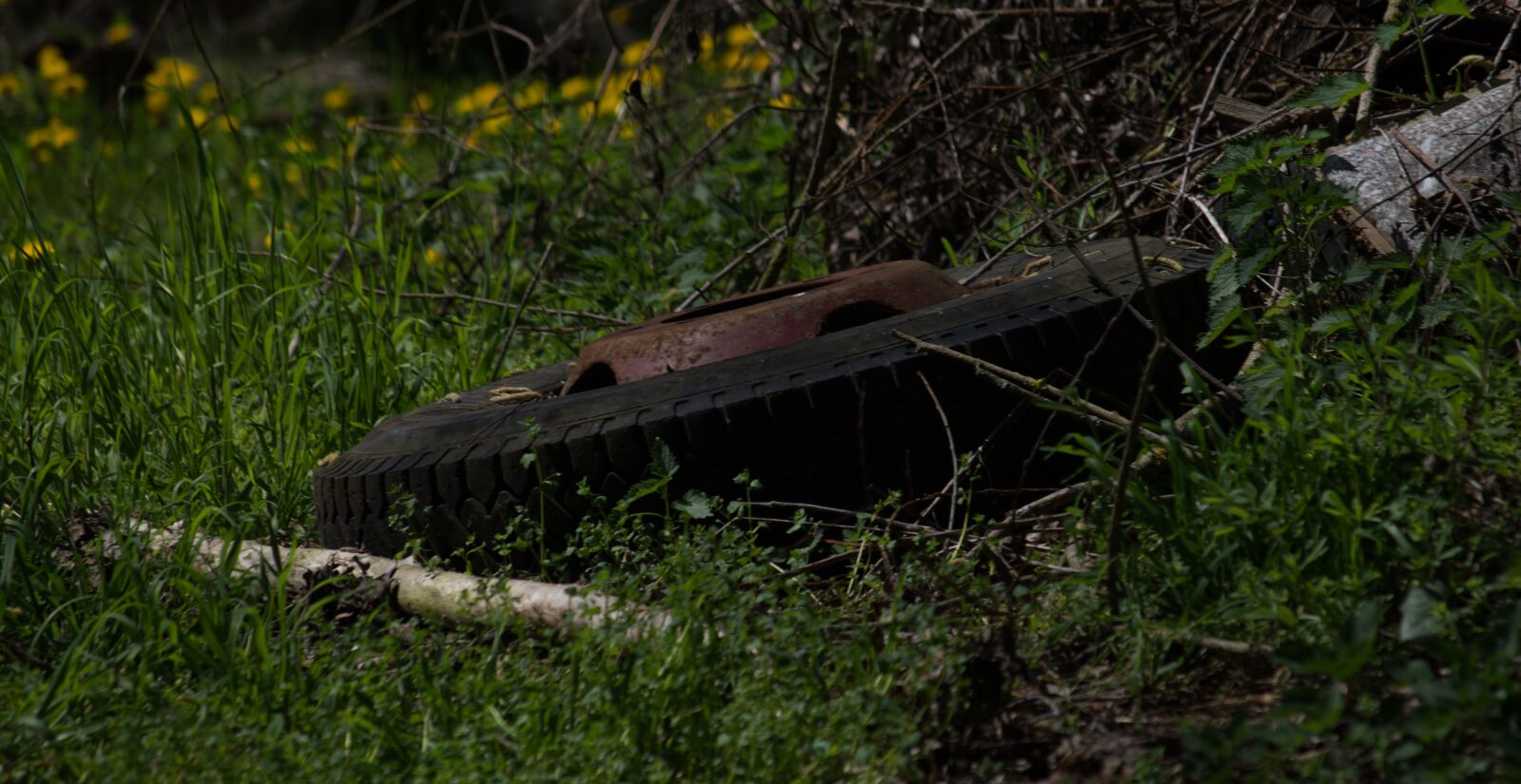 Nikon D5500 sample photo. Mature, wheel, rim photography