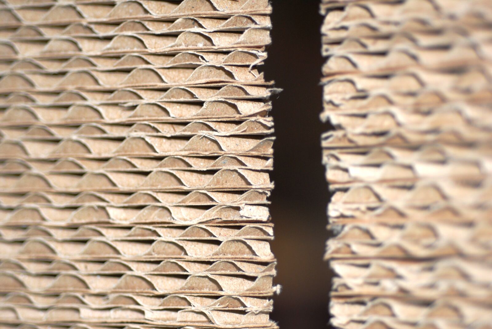 Nikon D200 sample photo. Material, texture, paper photography