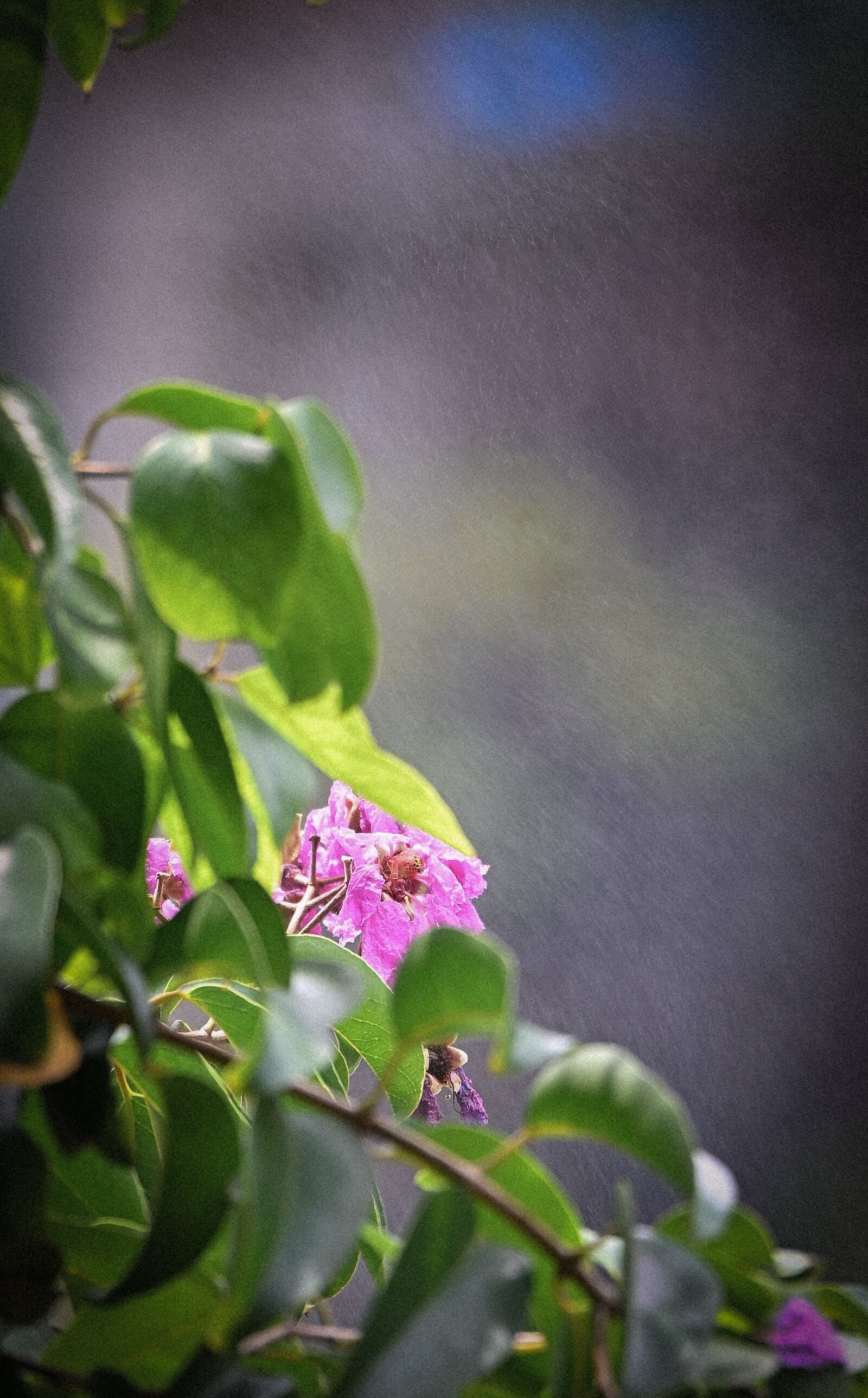 Nikon Nikkor Z 28-400mm F4-8 VR sample photo