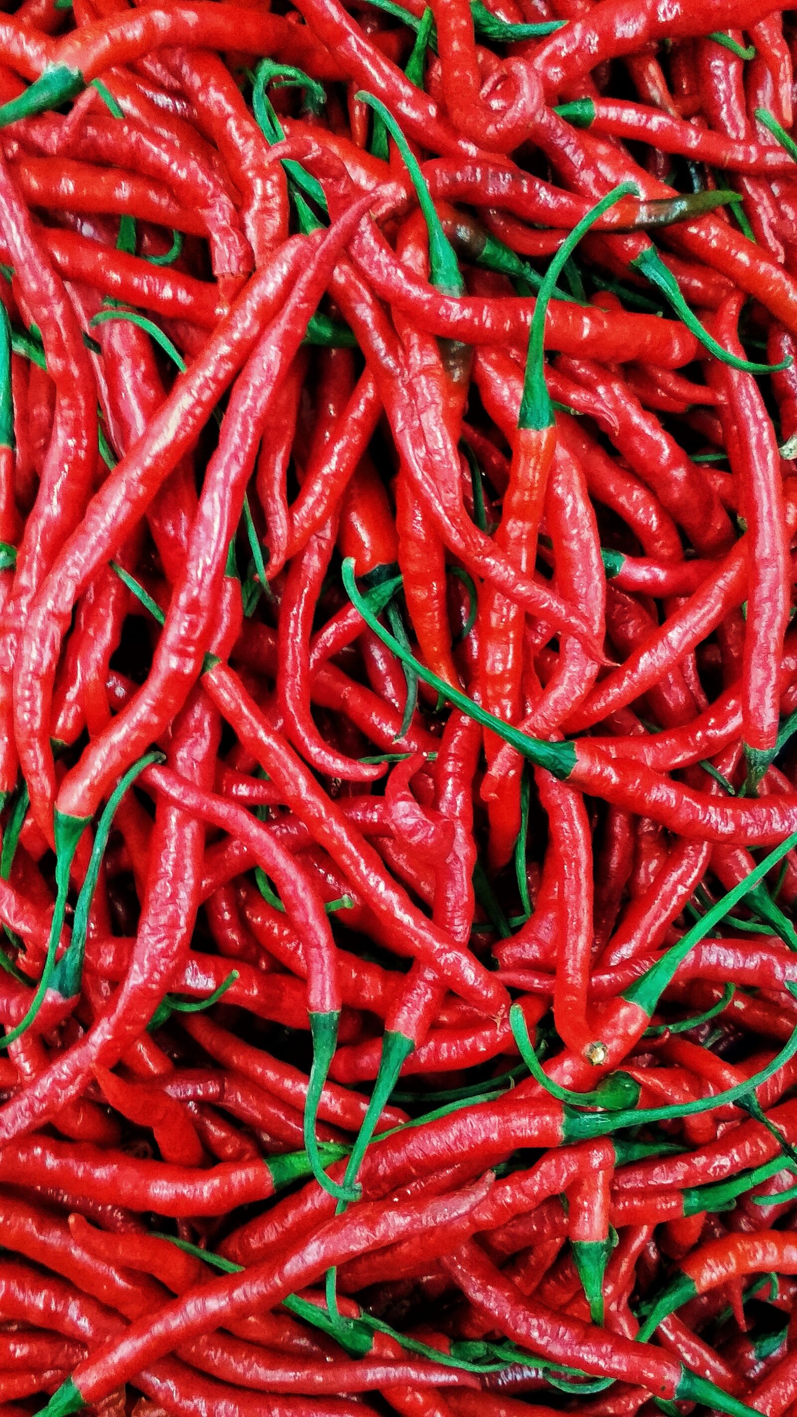 Xiaomi Redmi 4X sample photo. Vegetarian, chili, red photography