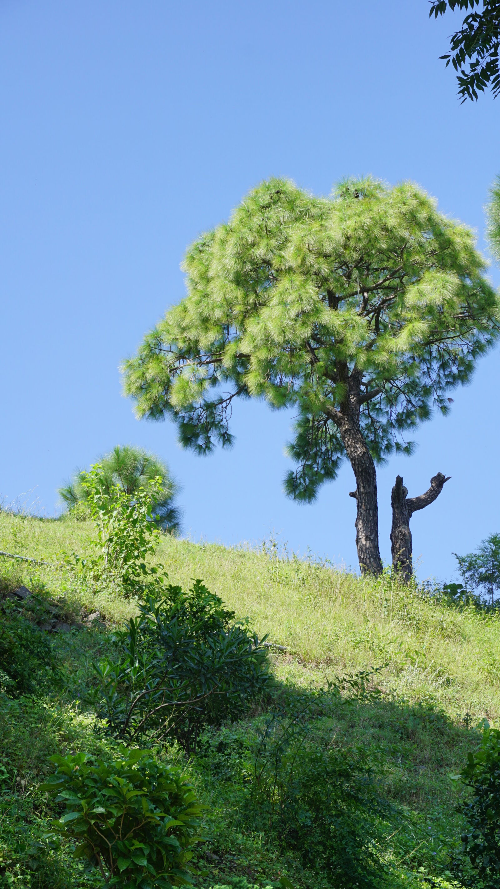 Sony E 16-50mm F3.5-5.6 PZ OSS sample photo. Blue, sky, bright, bright photography