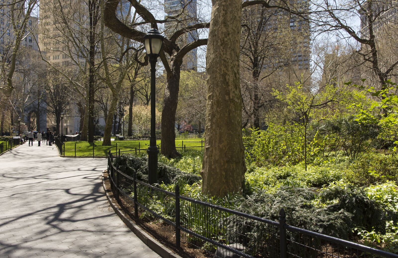 Nikon D7200 sample photo. Park, new york city photography