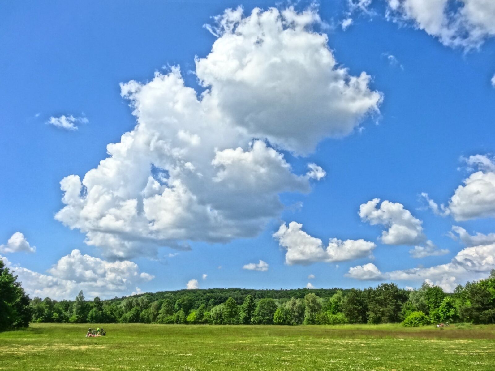 Sony Cyber-shot DSC-HX20V sample photo. Myslecinek, poland, park photography