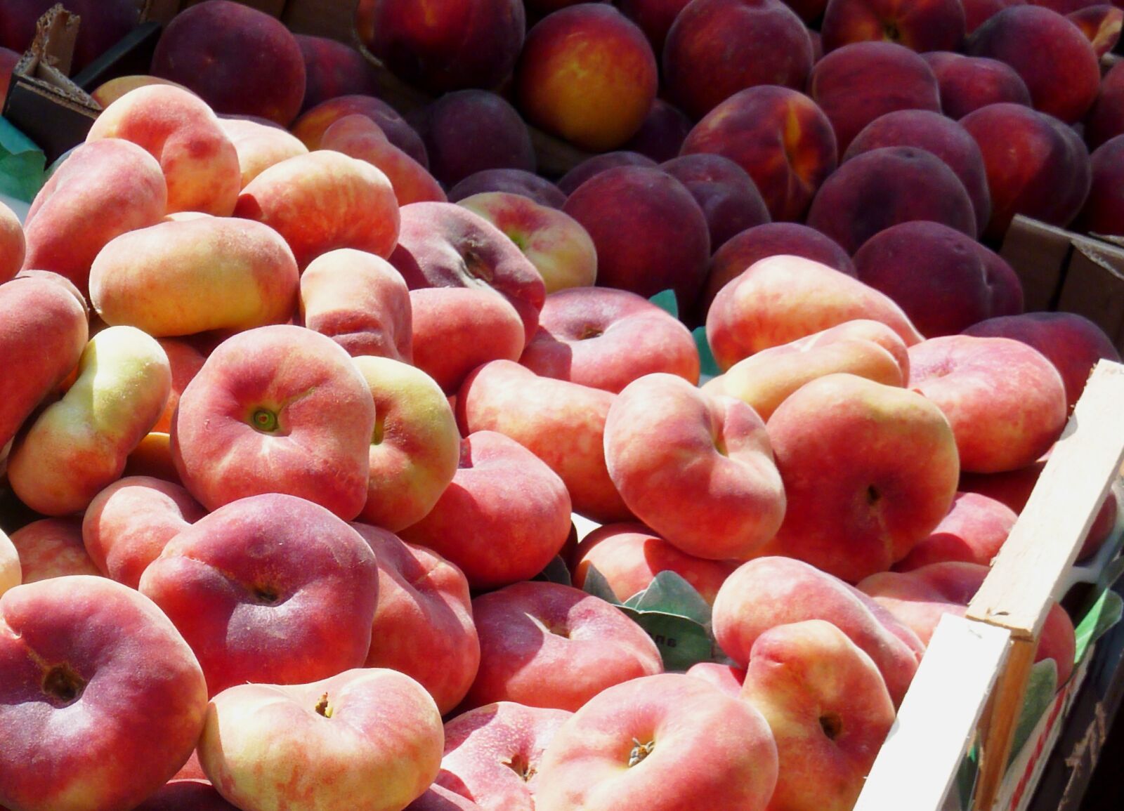 Panasonic DMC-TZ7 sample photo. Peach, vineyard peach, fruit photography