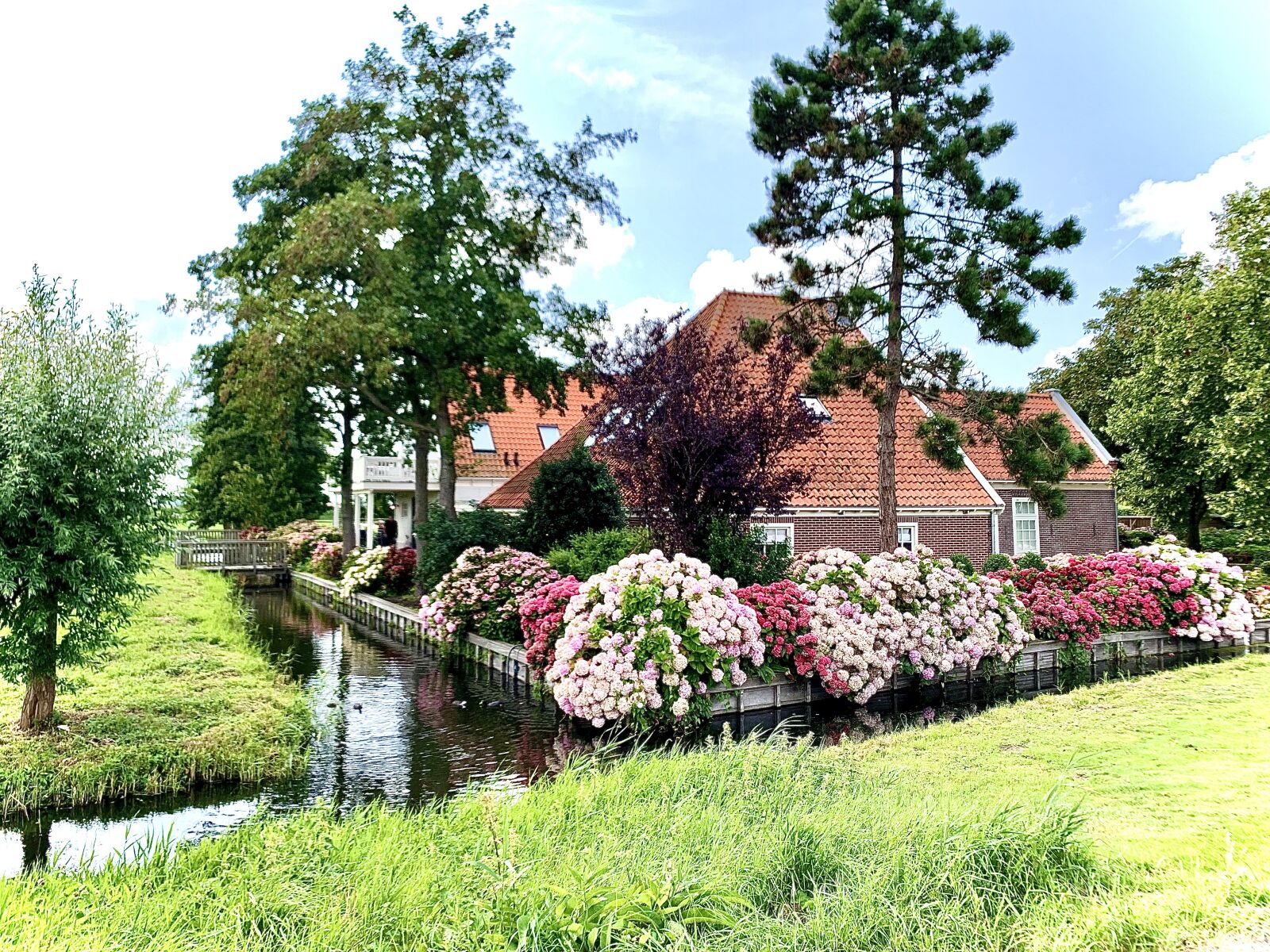 iPhone XS back dual camera 4.25mm f/1.8 sample photo. Holland, maison, nature photography