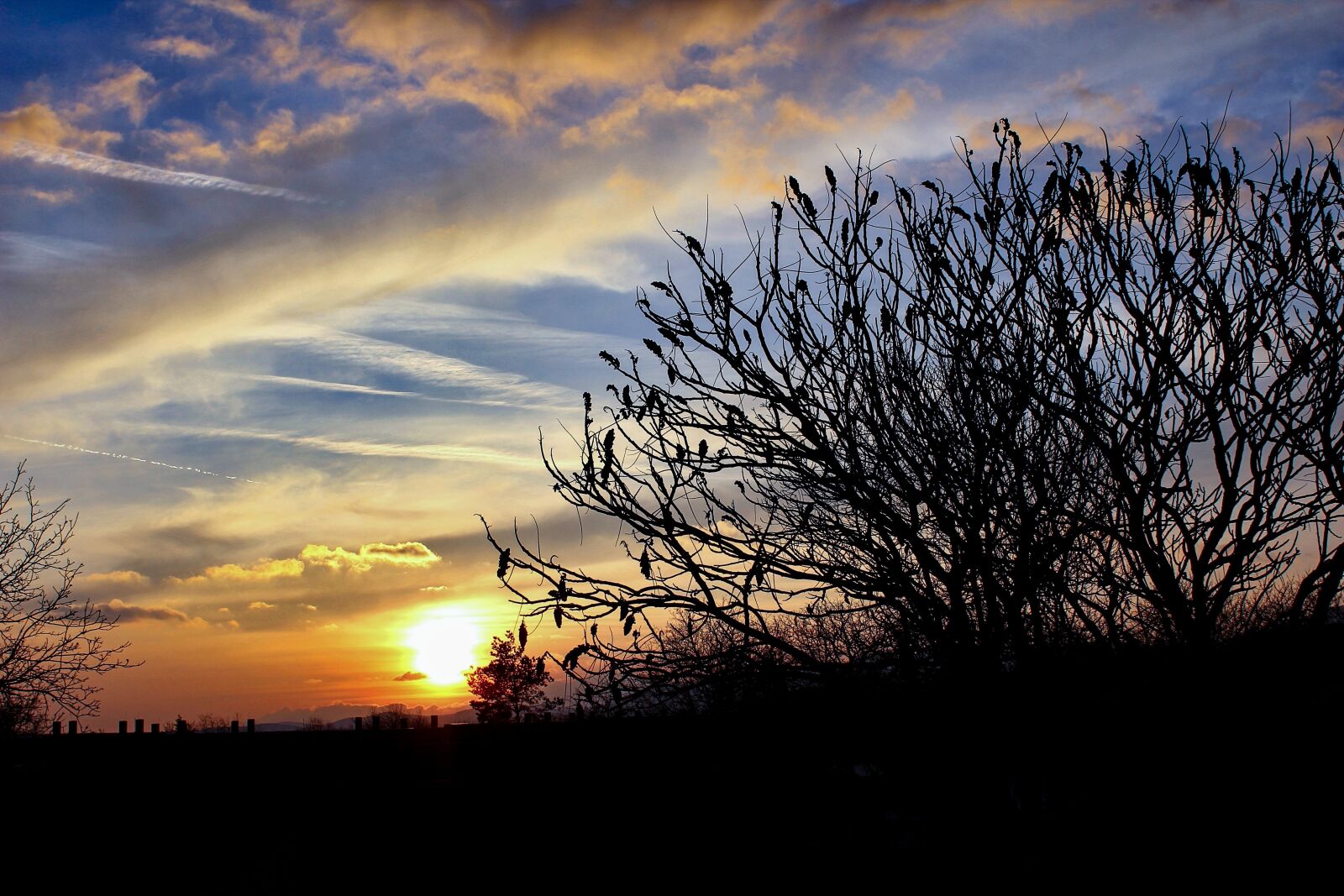 Canon EOS 1200D (EOS Rebel T5 / EOS Kiss X70 / EOS Hi) sample photo. Sunset, tree, in the photography