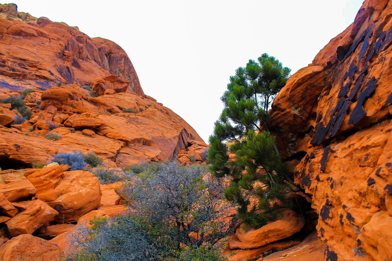 Canon EOS 1100D (EOS Rebel T3 / EOS Kiss X50) sample photo. Utah, red rocks, red photography