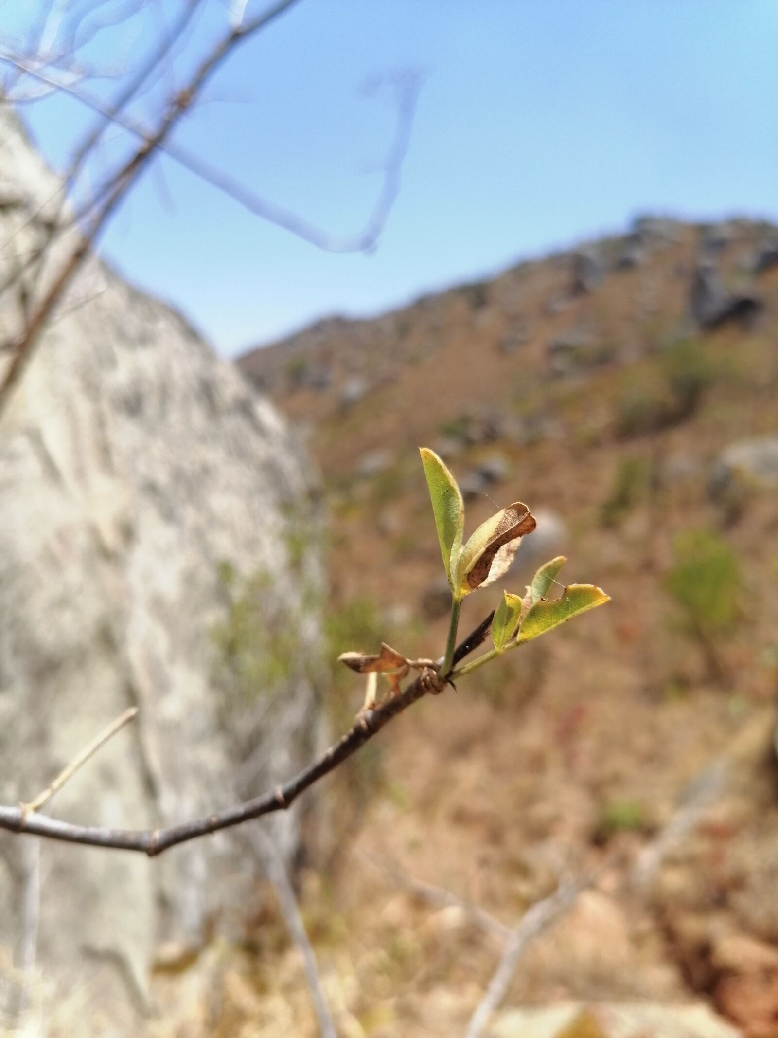 HUAWEI STK-L21 sample photo. Noon, mountain, love photography