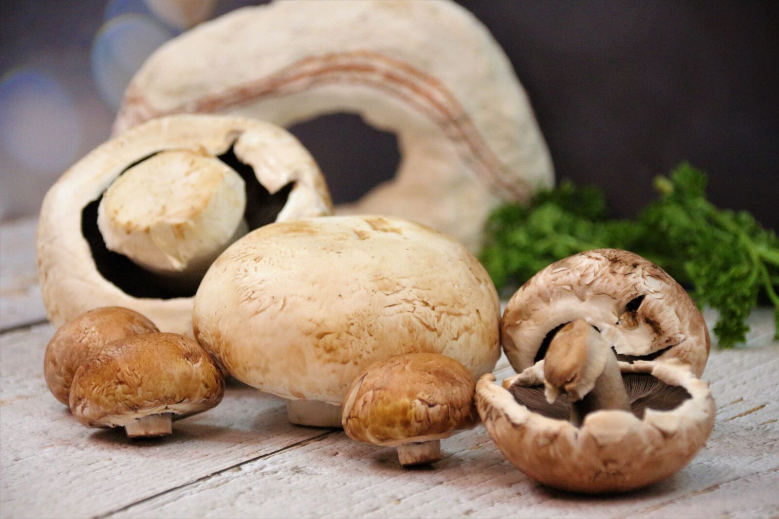 Canon EOS 700D (EOS Rebel T5i / EOS Kiss X7i) sample photo. Mushrooms, delicious, nutrition photography