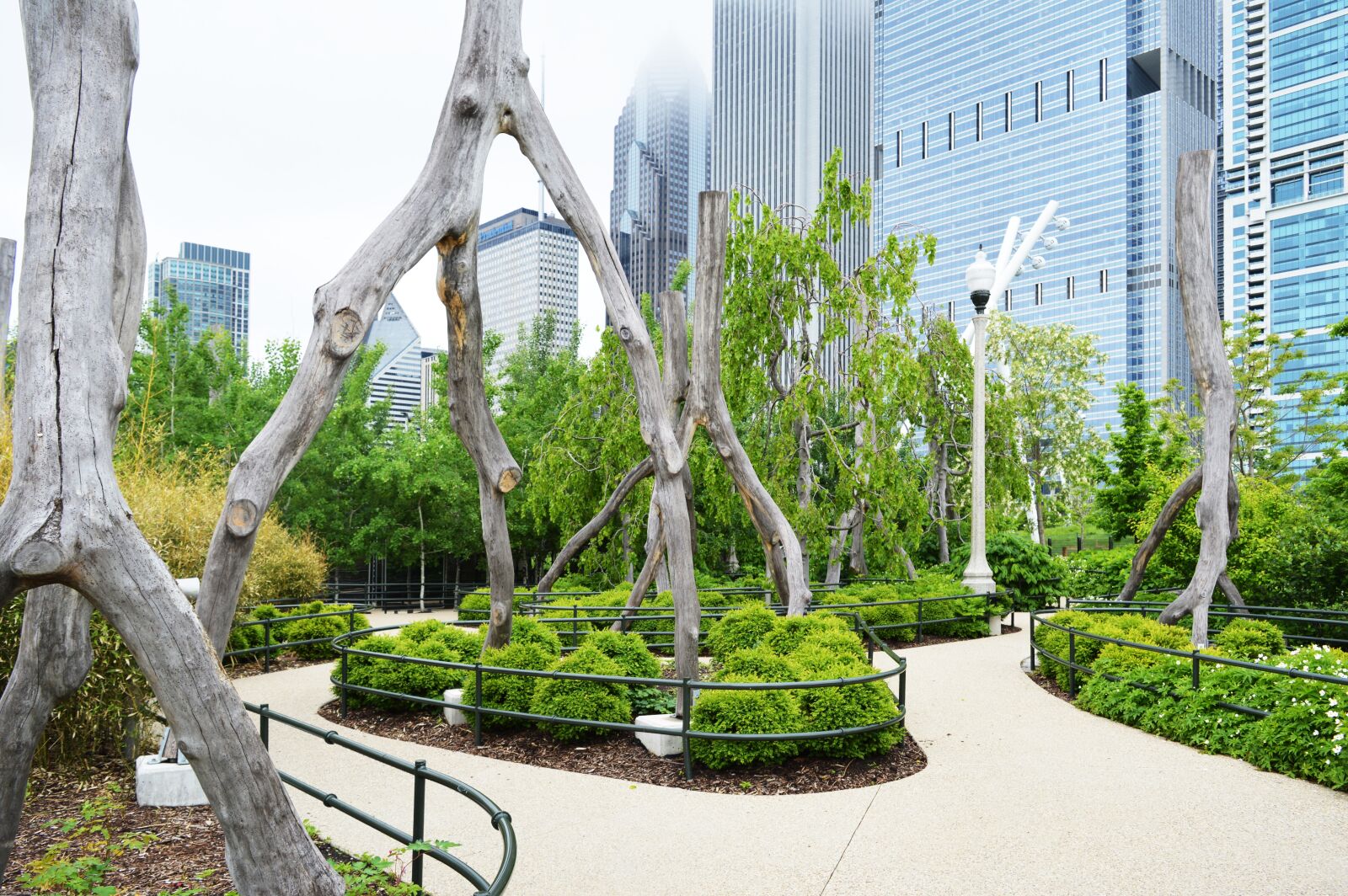 Nikon D3200 sample photo. Wood, park, green photography