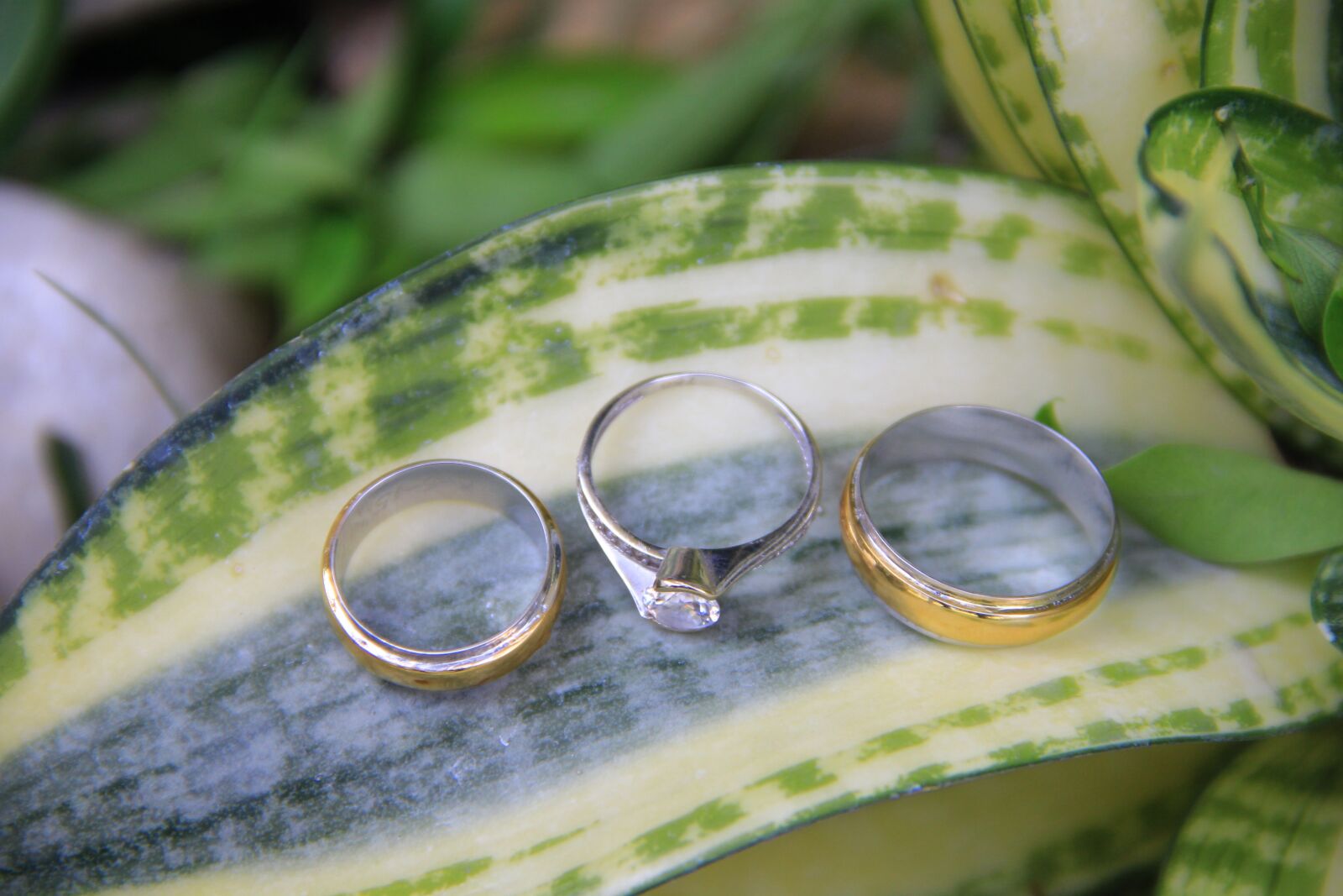 Canon EOS 60D sample photo. Ring, wedding ring, beautiful photography