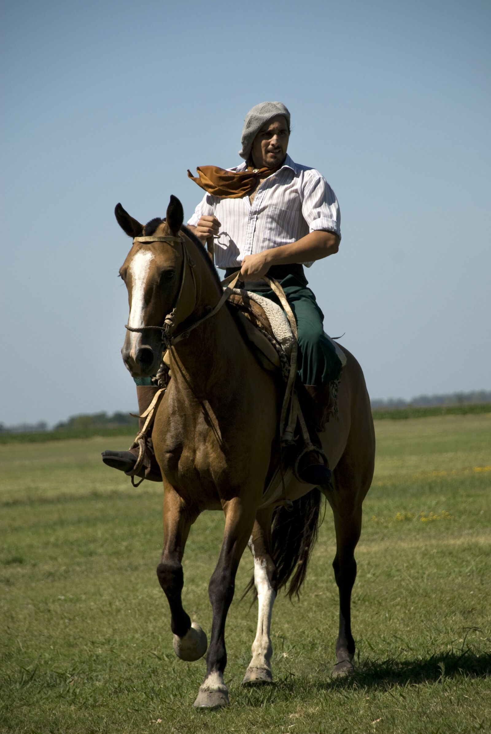 Nikon D200 sample photo. Field, horse, ginete photography