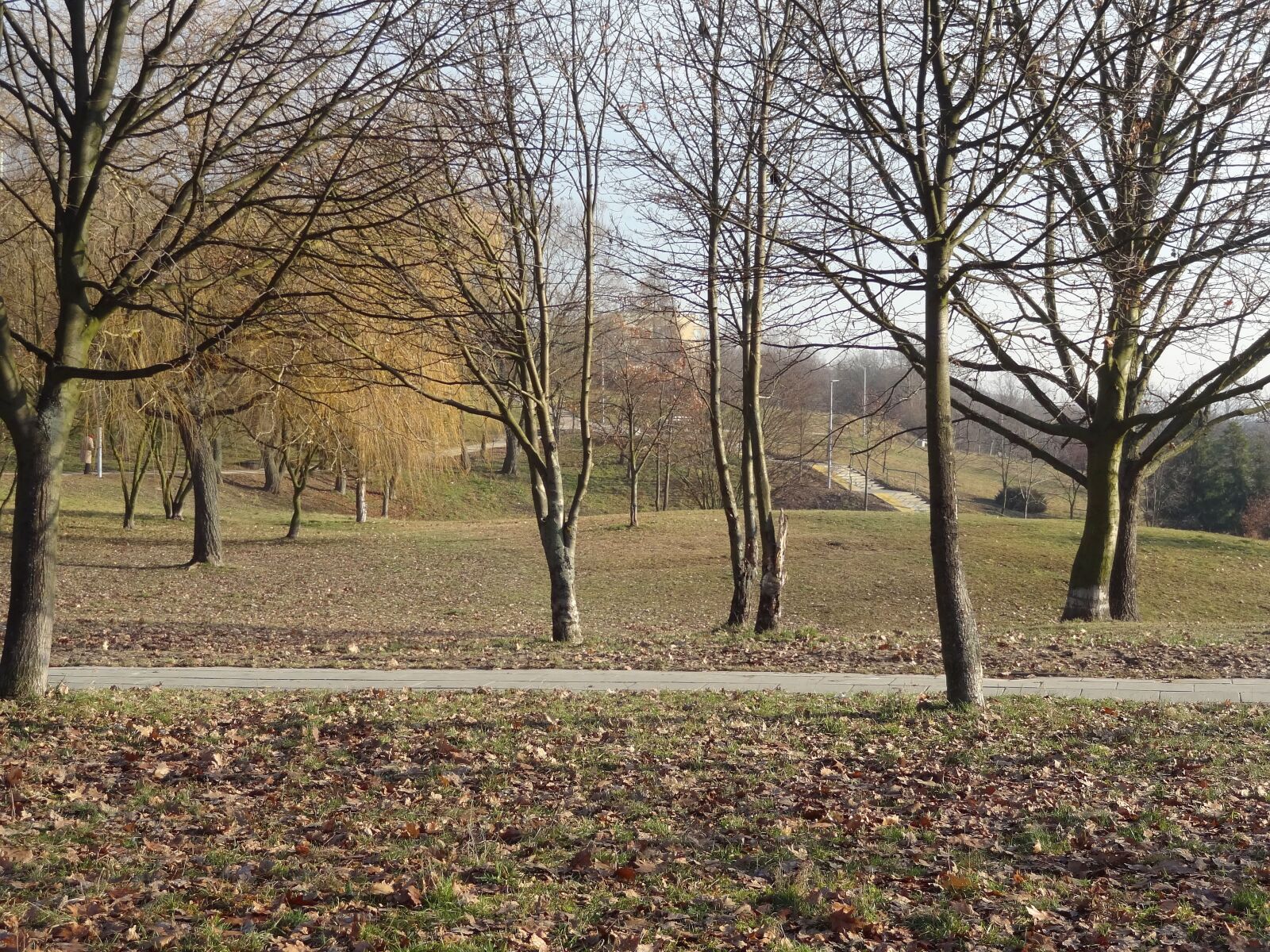Sony Cyber-shot DSC-HX9V sample photo. Author, skibka, photo photography