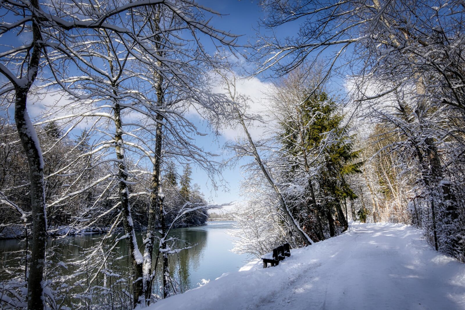 Panasonic Lumix DMC-GX8 sample photo. Winter, snow, nature photography