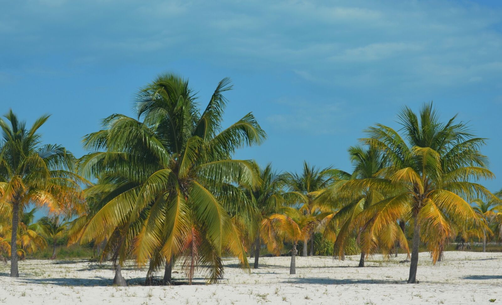 Nikon D5100 sample photo. Cuba, sun, summer photography