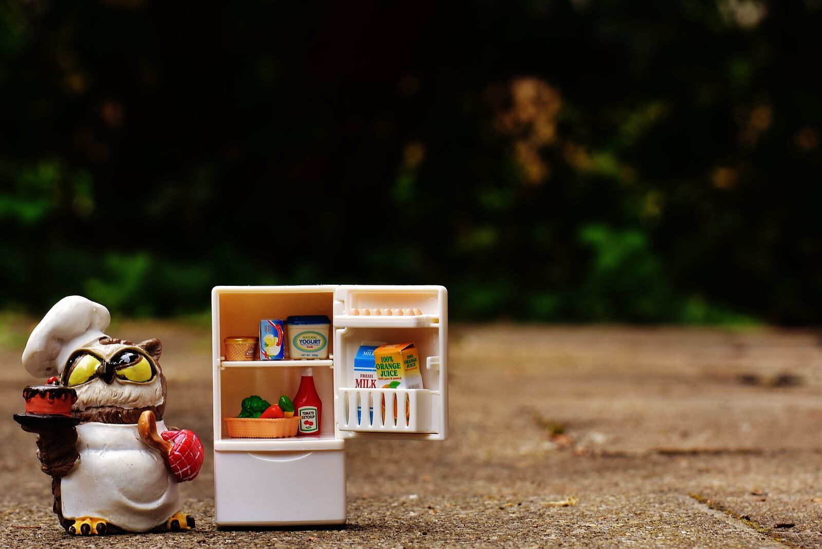Nikon D7200 sample photo. Owl, bake, cook photography