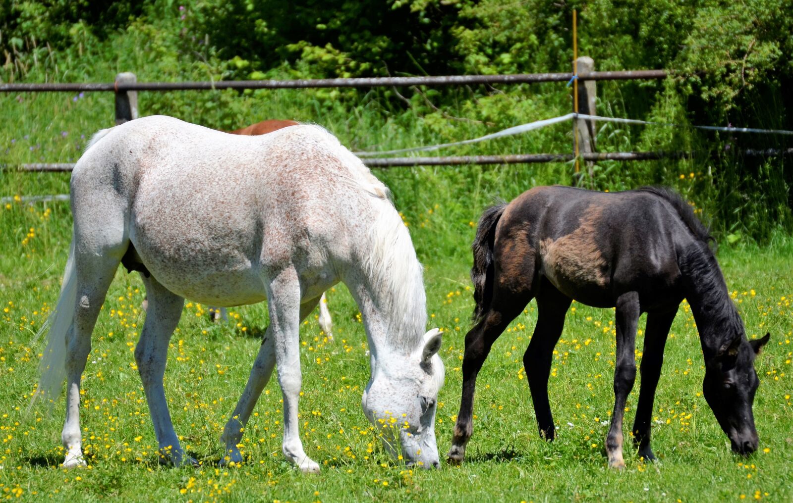 Nikon D5100 sample photo. Main and state stud photography