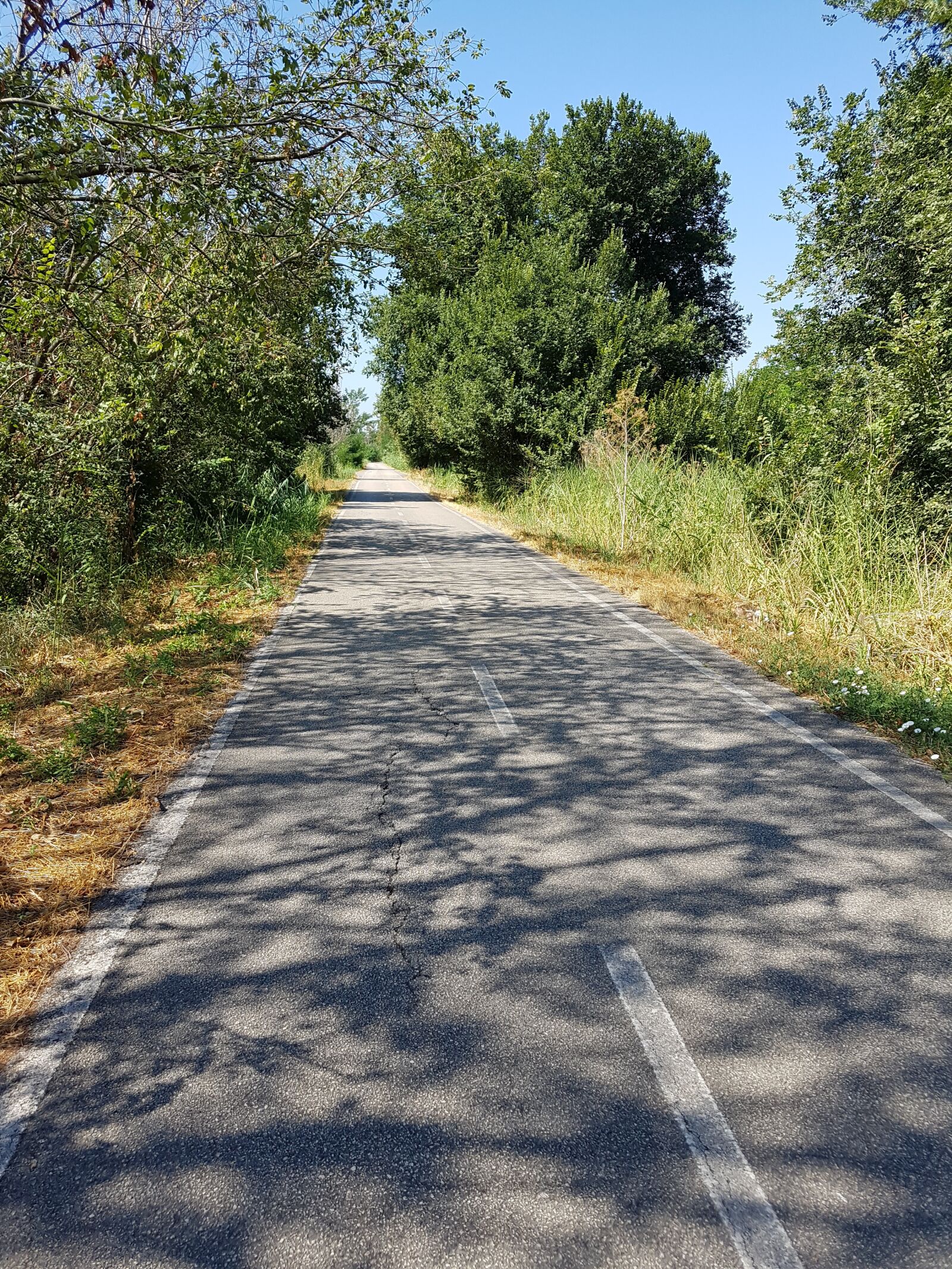 Samsung Galaxy S7 sample photo. Path, pilgrim, landscape photography
