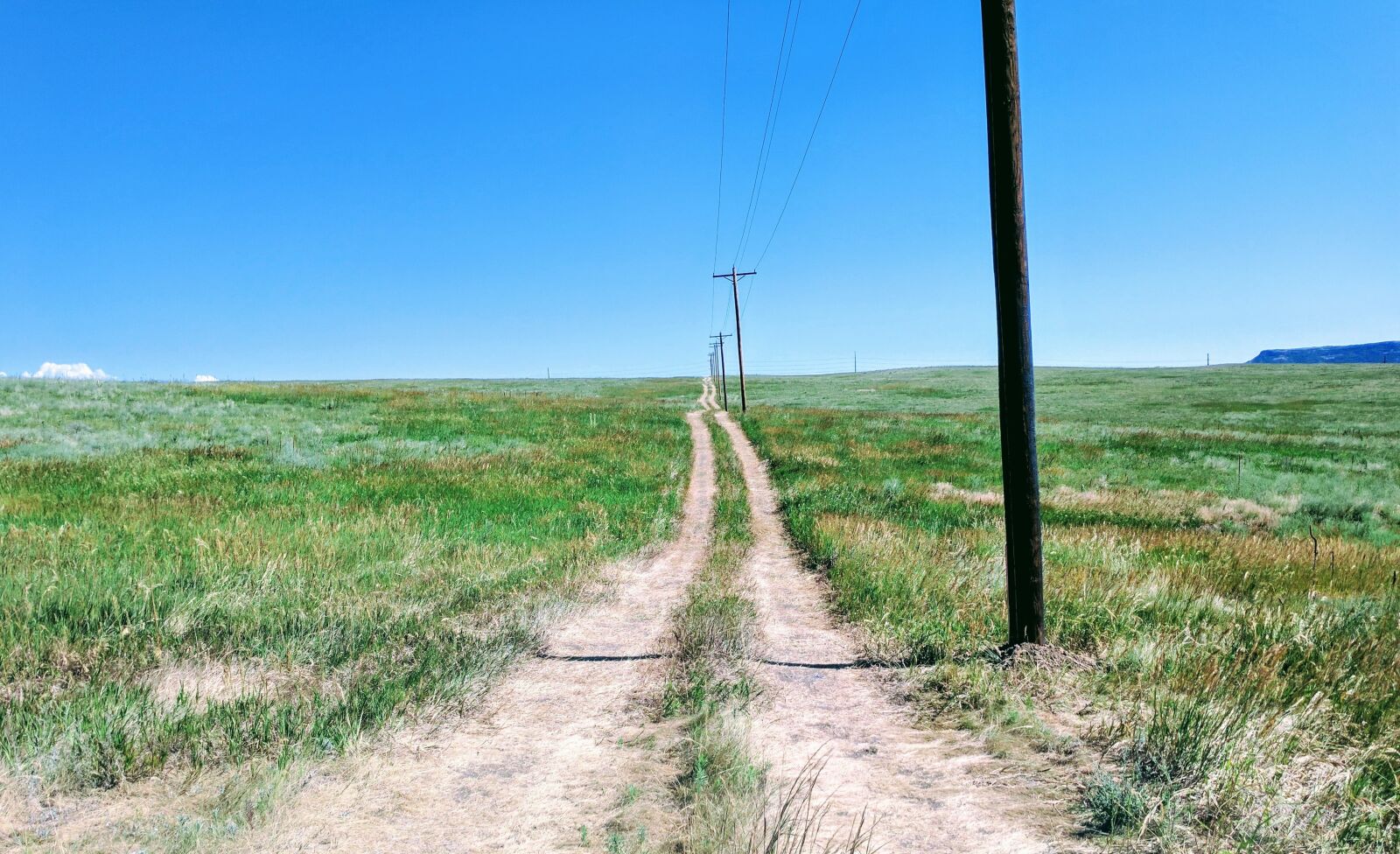 Google Pixel XL sample photo. Dirt road, telephone poles photography
