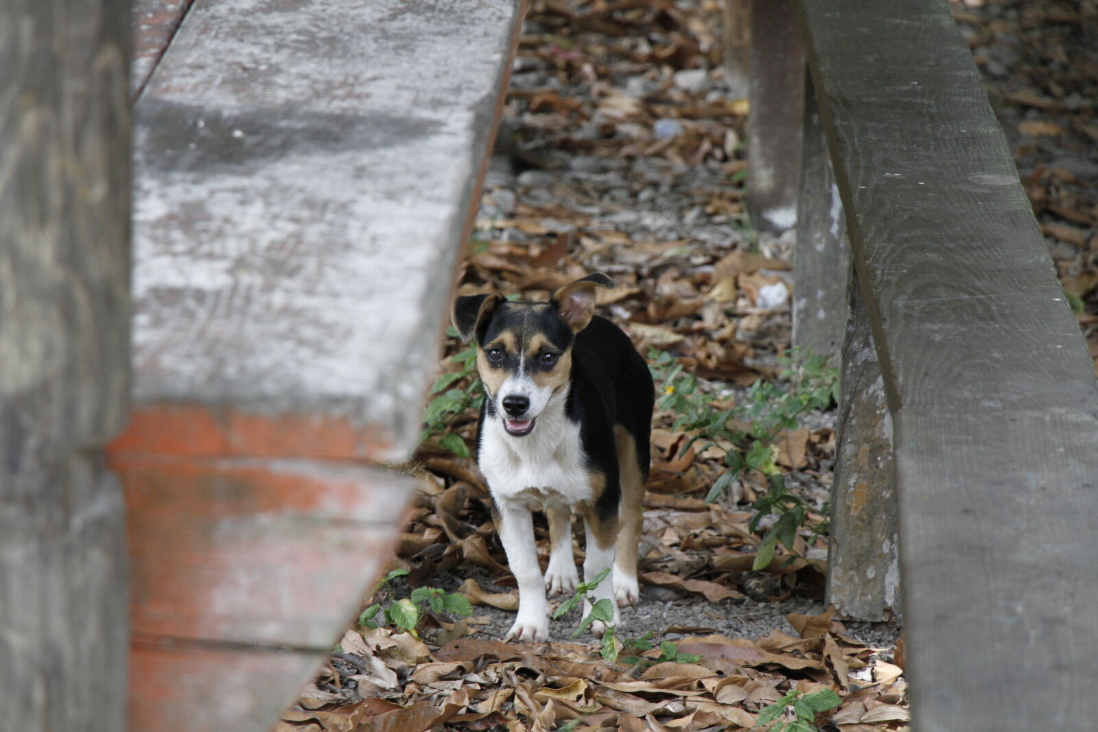 Canon EOS 7D sample photo