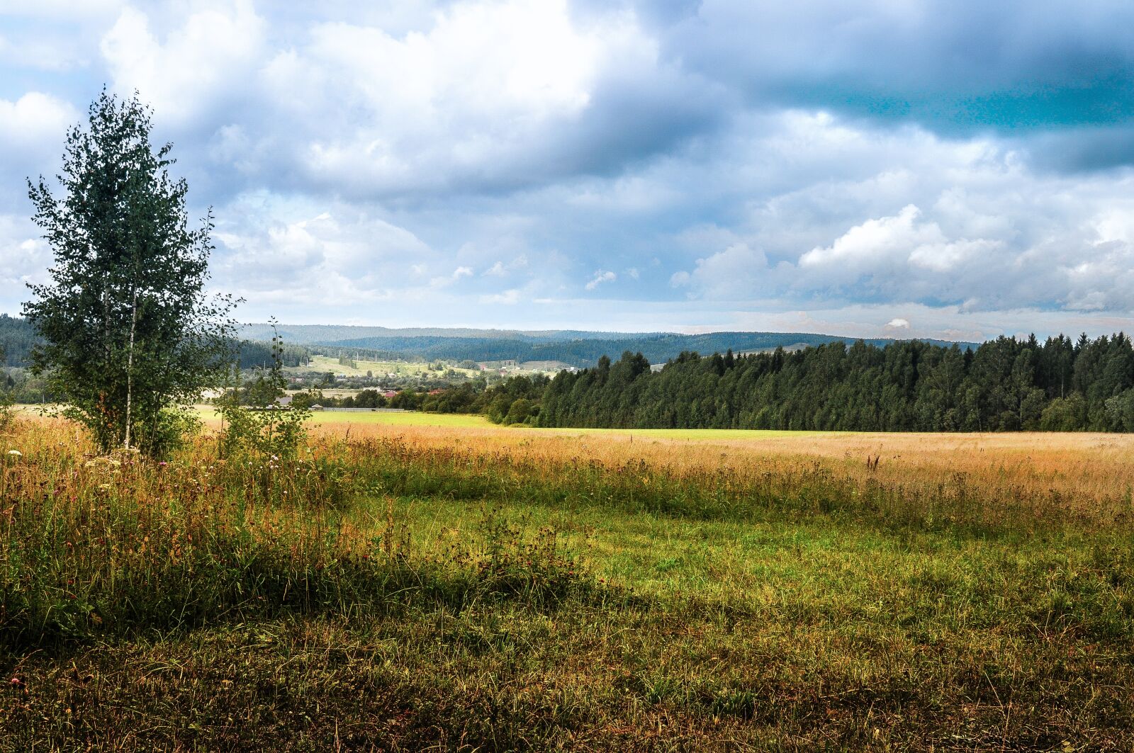 Nikon D90 sample photo. Panoramic, landscape, nature photography