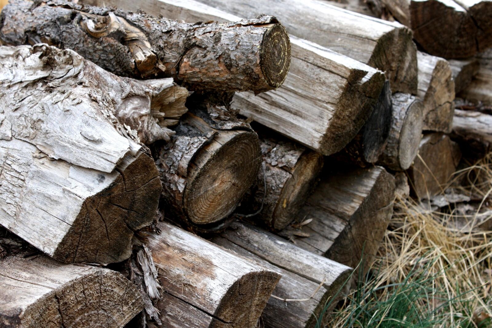 f/3.5-5.6 IS sample photo. Firewood, pile photography