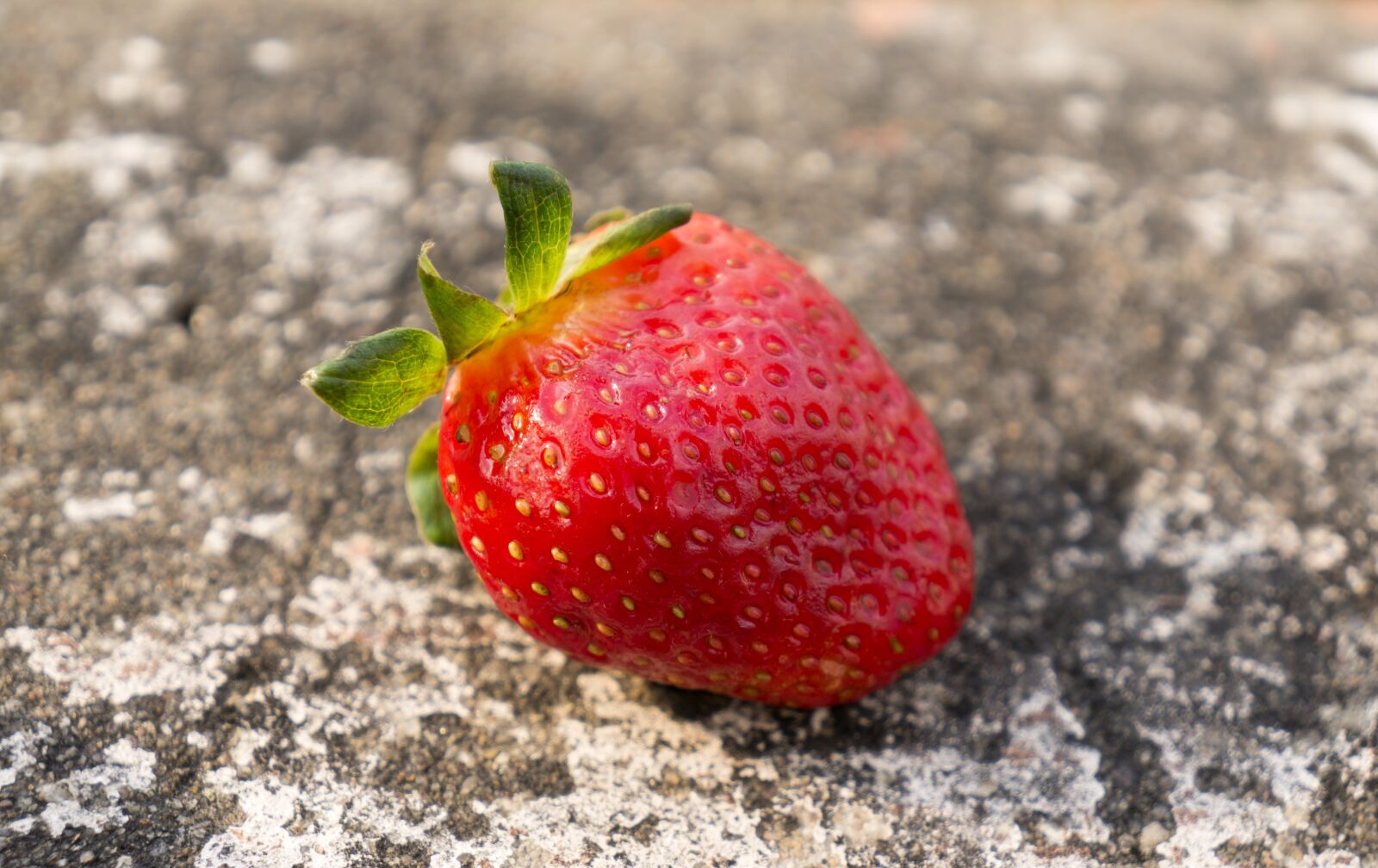 Sony Alpha NEX-F3 + Sony E 18-55mm F3.5-5.6 OSS sample photo. Food, fruits, strawberries photography