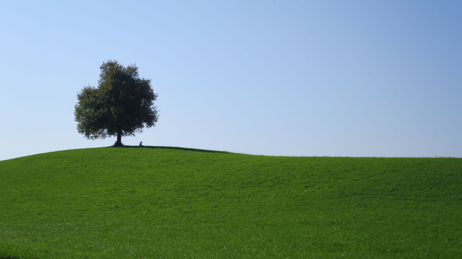 Canon PowerShot S120 sample photo. Tree, hill, switzerland photography
