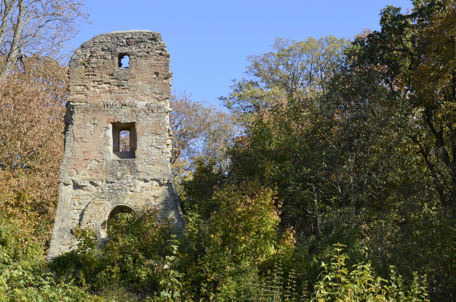 Nikon D5100 sample photo. Burgruine, ruin, castle photography