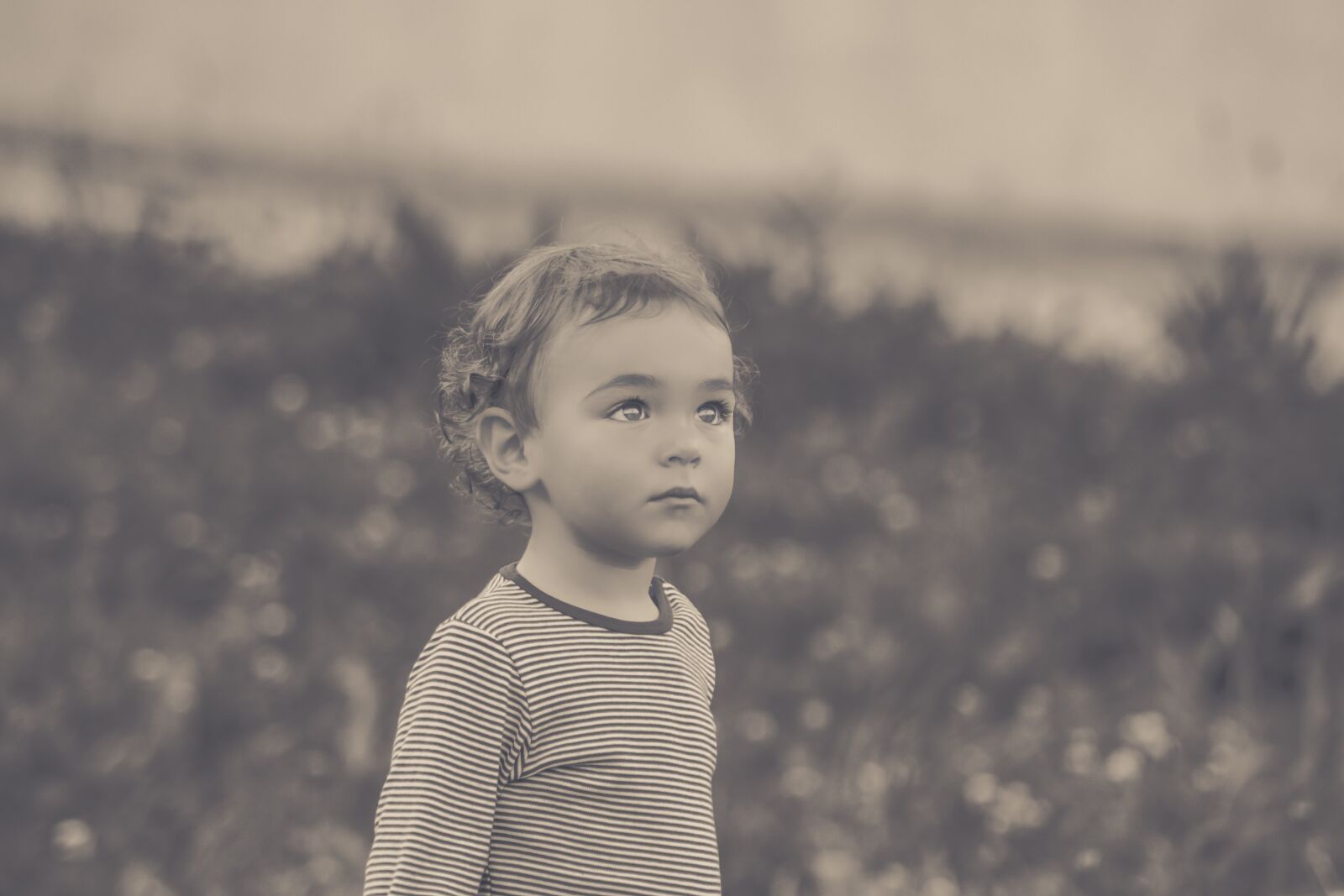 Nikon D7200 sample photo. Child, boy, watch photography