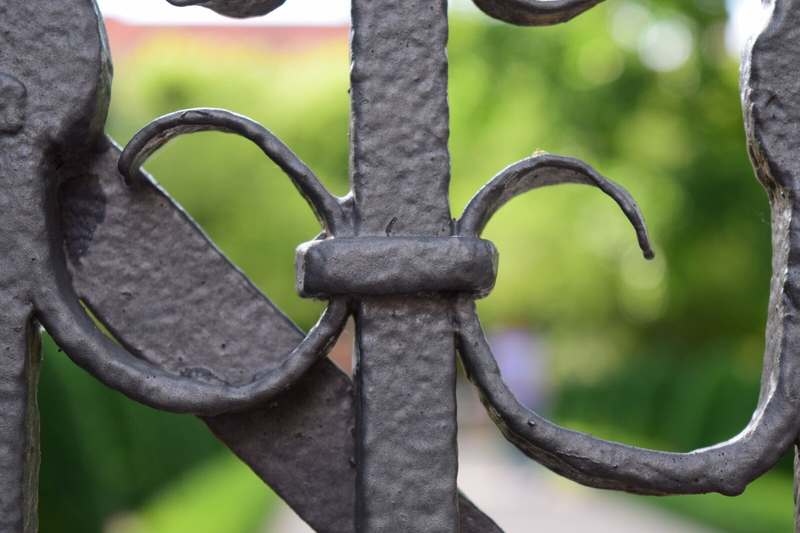 Nikon D3300 sample photo. Grid, goal, input photography