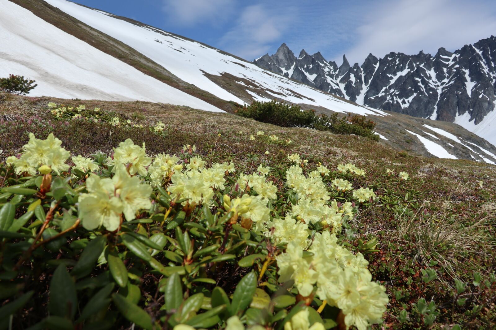 Canon PowerShot G1 X Mark III sample photo. Mountains, clouds, spring photography